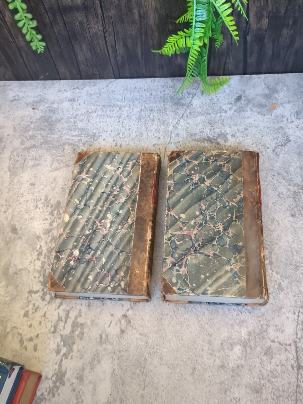 The Surviving Books of the Histories of Titus Livius of Padua 1822 2 Vol Latin