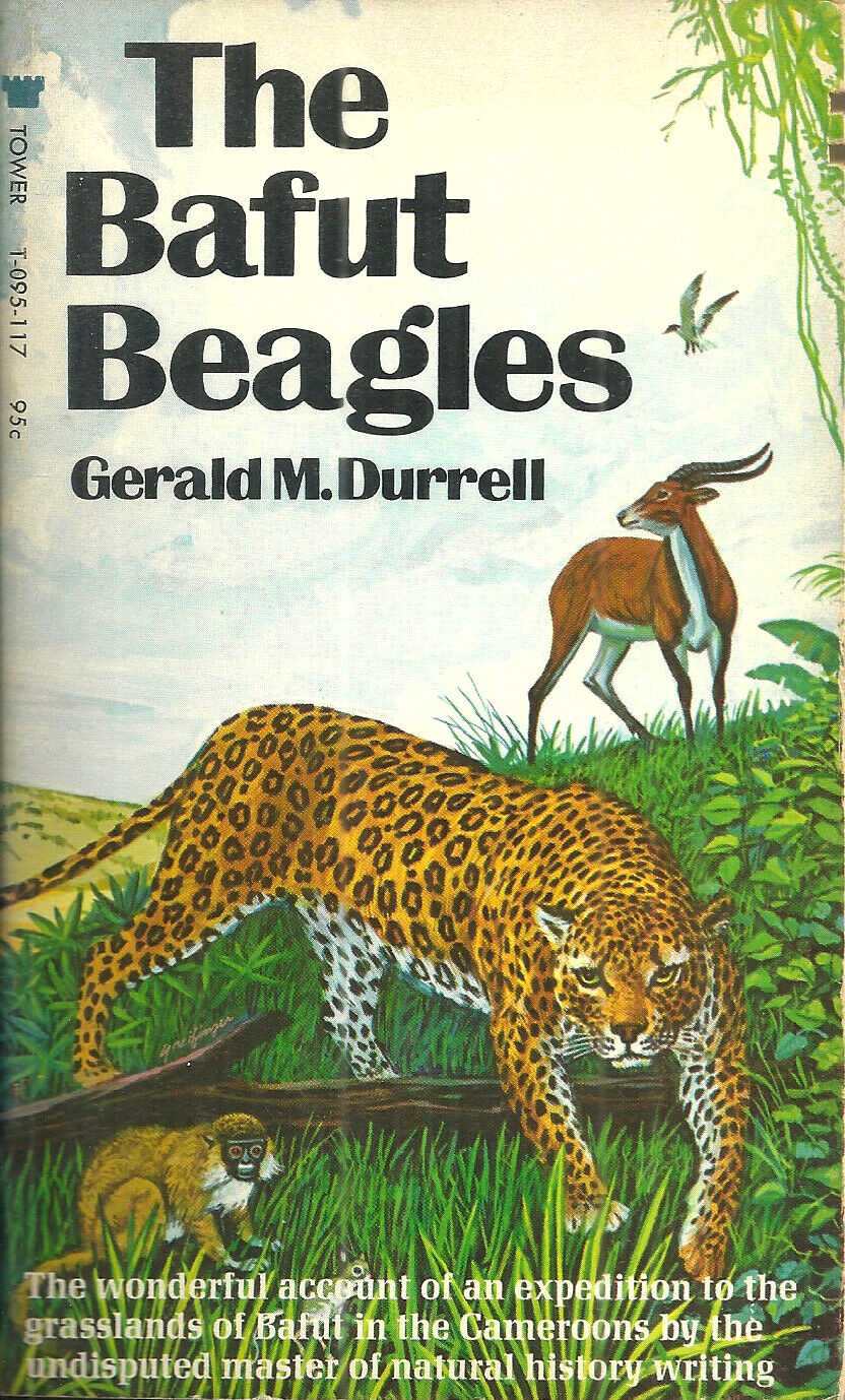 THE BAFUT BEAGLES – Gerald Durrell – True – 1949 CAMEROONS ZOO ANIMAL EXPEDITION