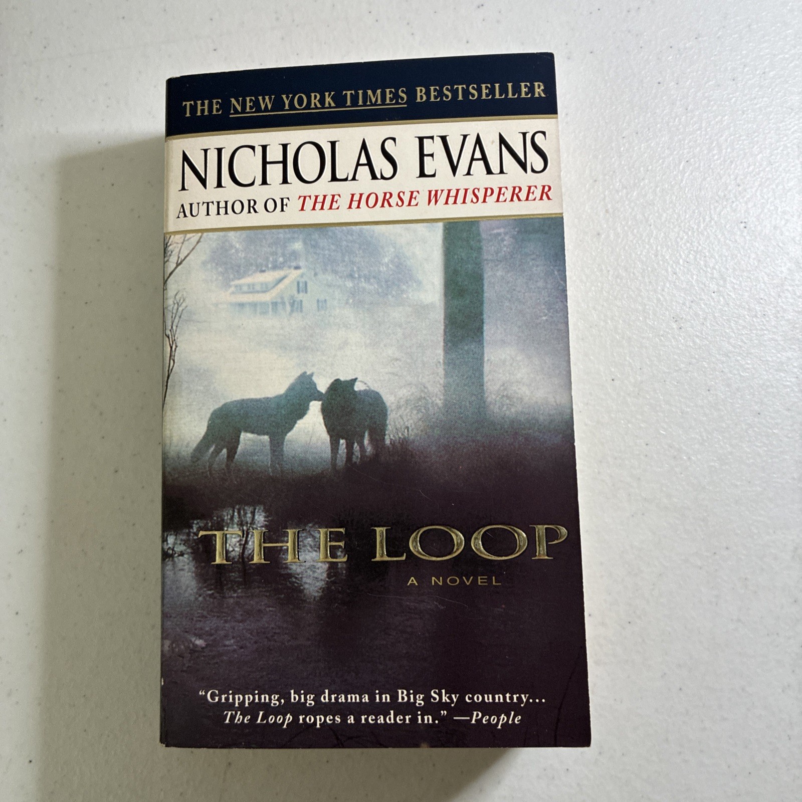 1999 Epic Bestselling Novel The Loop Mass Market Paperbound Nicholas Evans
