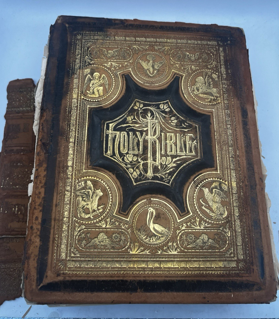 Holman Bible 1887 Translated from Original Language Concordance b&w Illustration