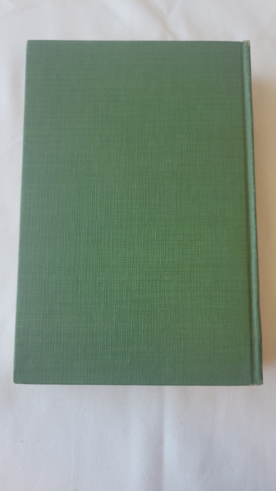 The Young Enchanted by Hugh Walpole 1921 Novel Romance