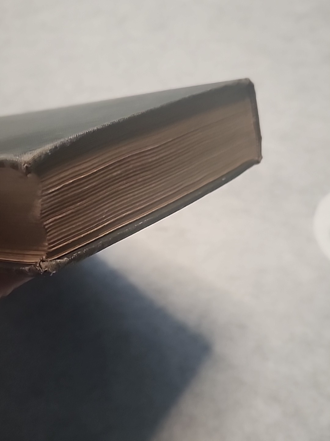 Our Environment: How We Use & Control It Wood & Carpenter 1927 1st Ed HC Antique