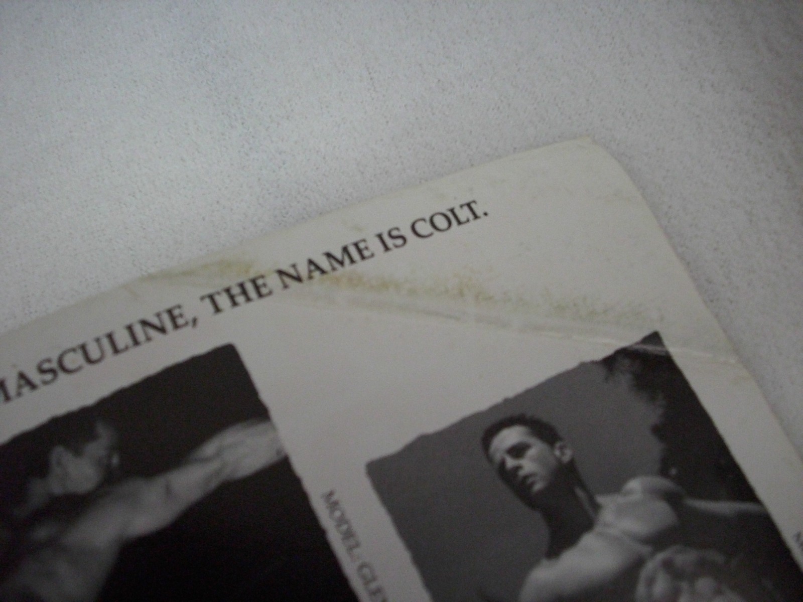 Gay Male Nudes Colt Studio 1993 The Hairy Chested Man Magazine #17