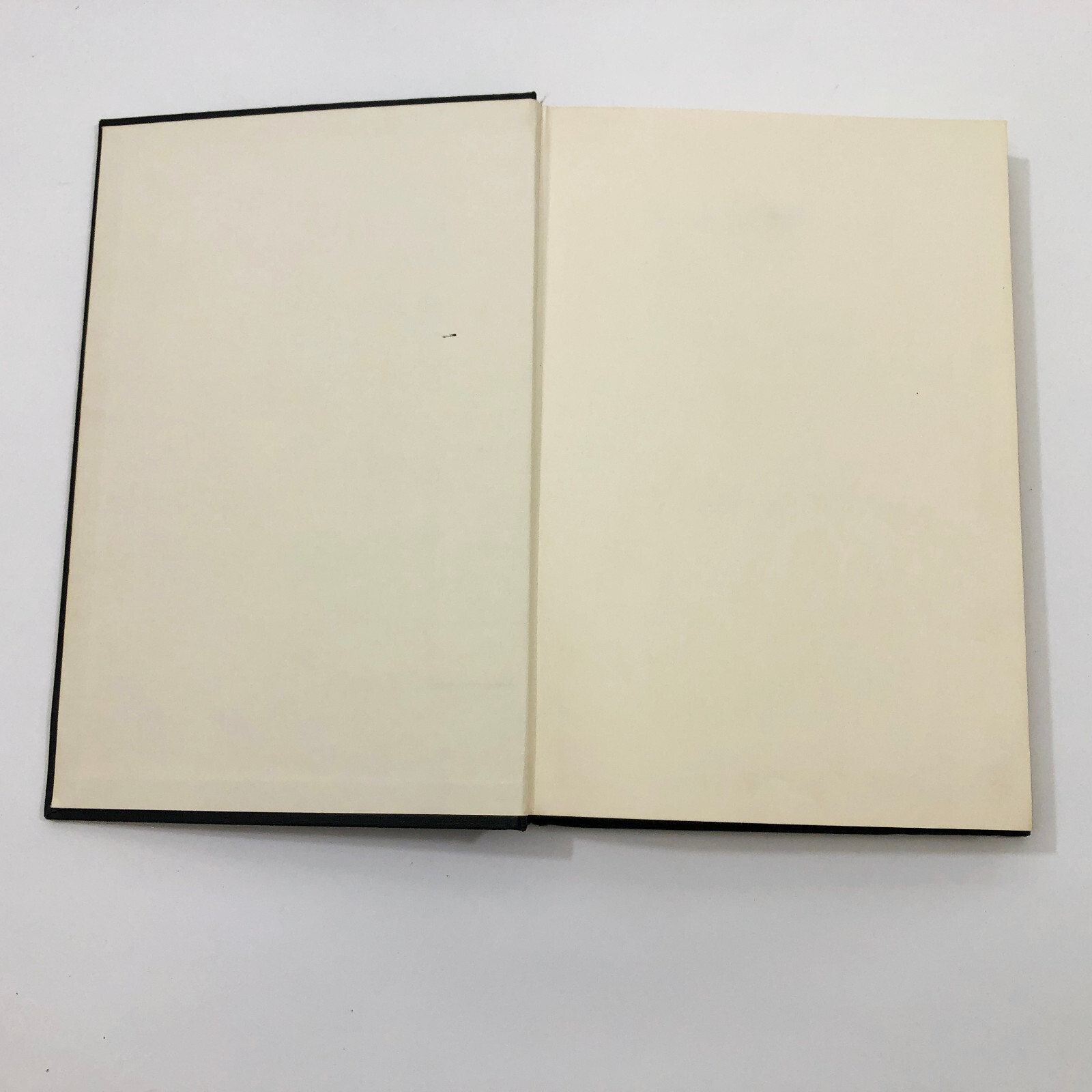 With Light Martha Blanton & Helen Cherry 1st Edition Signed Poetry HB