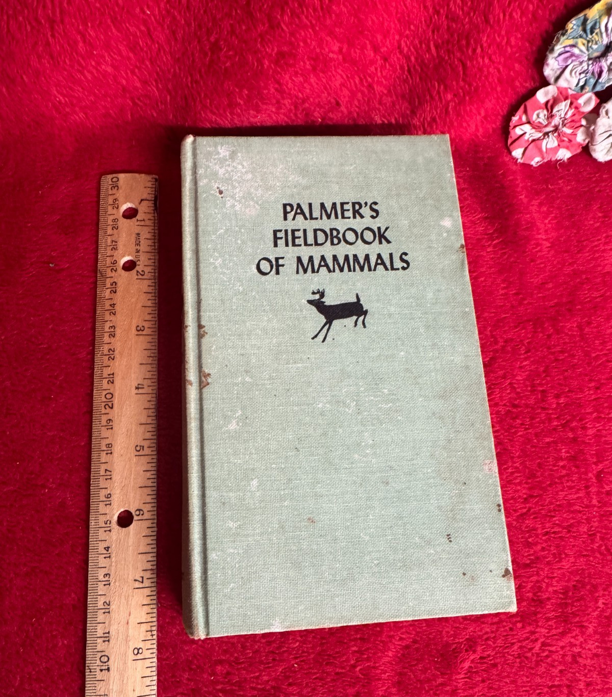 Vtg Palmers Fieldbook of Mammals: A Unit in Series of Aids to Conservation Book