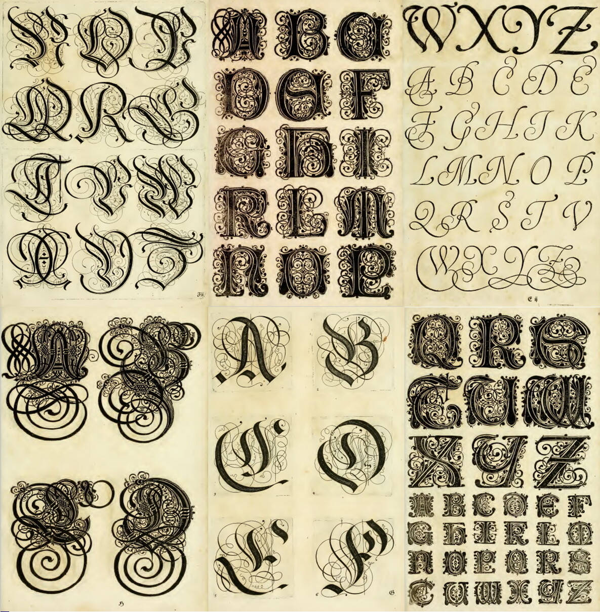 Lettering Alphabets Monograms Penmanship Writing Card Sign – 122 Old Books DVD