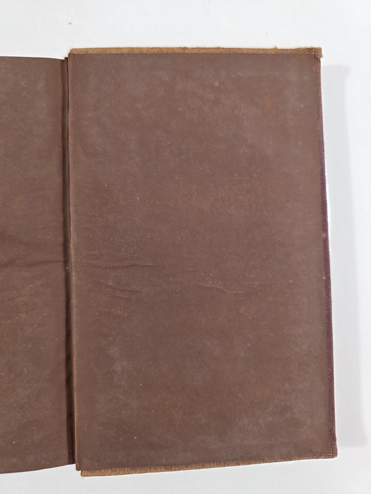 My Summer in a Garden Charles Dudley Warner Very Rare First Edition 1871