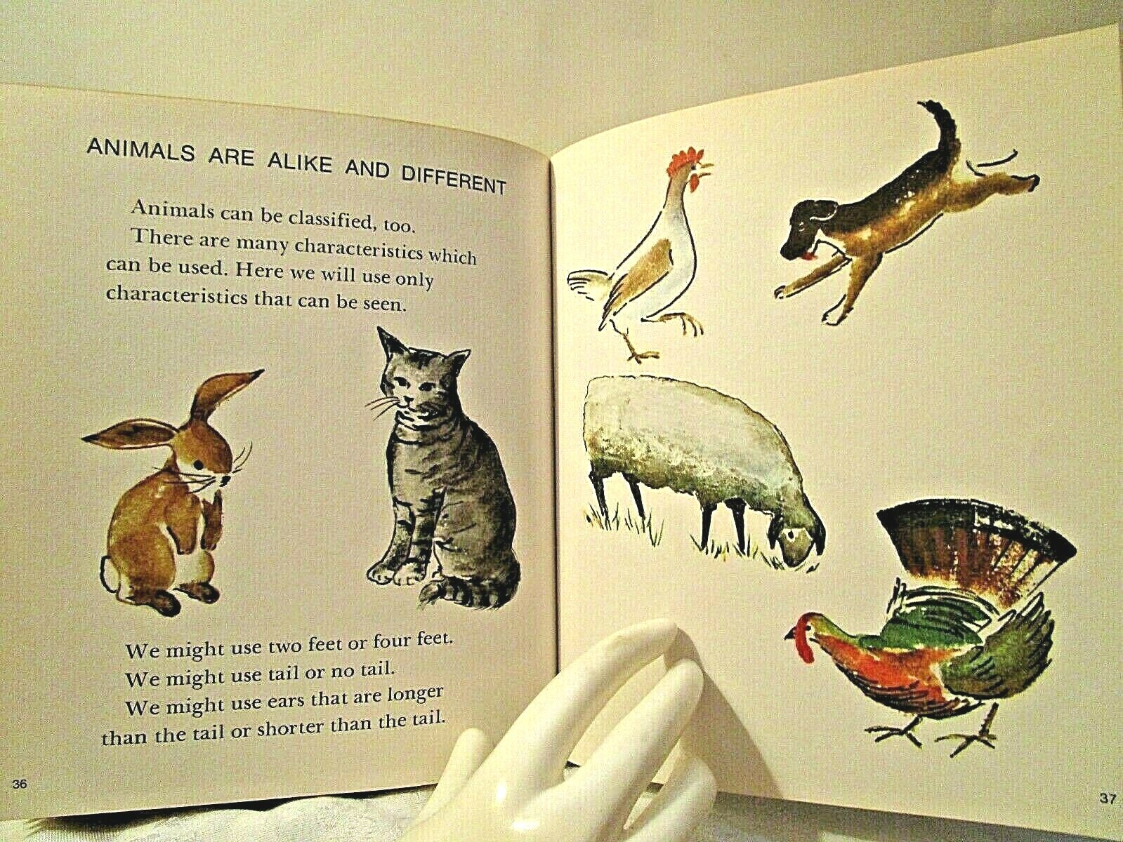 1979 THINGS ARE ALIKE and DIFFERENT HC ~ FAMOUS ILLUSTRATOR : JOHN HAWKINSON