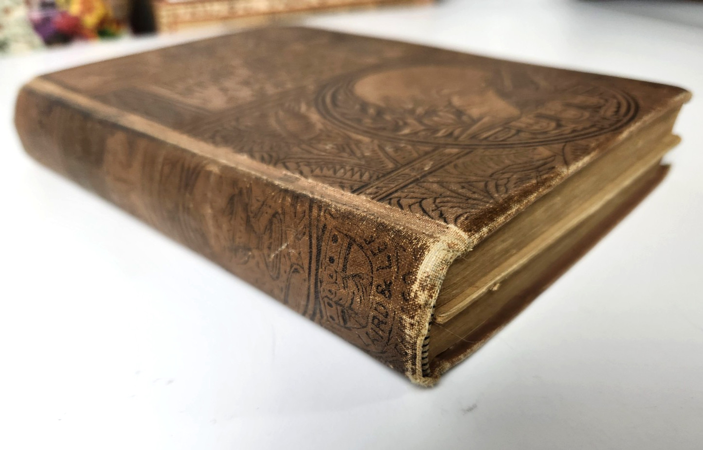 Through Mighty Waters Saved A Romance Of Johnstown Bailie Antique 1889 HC Book