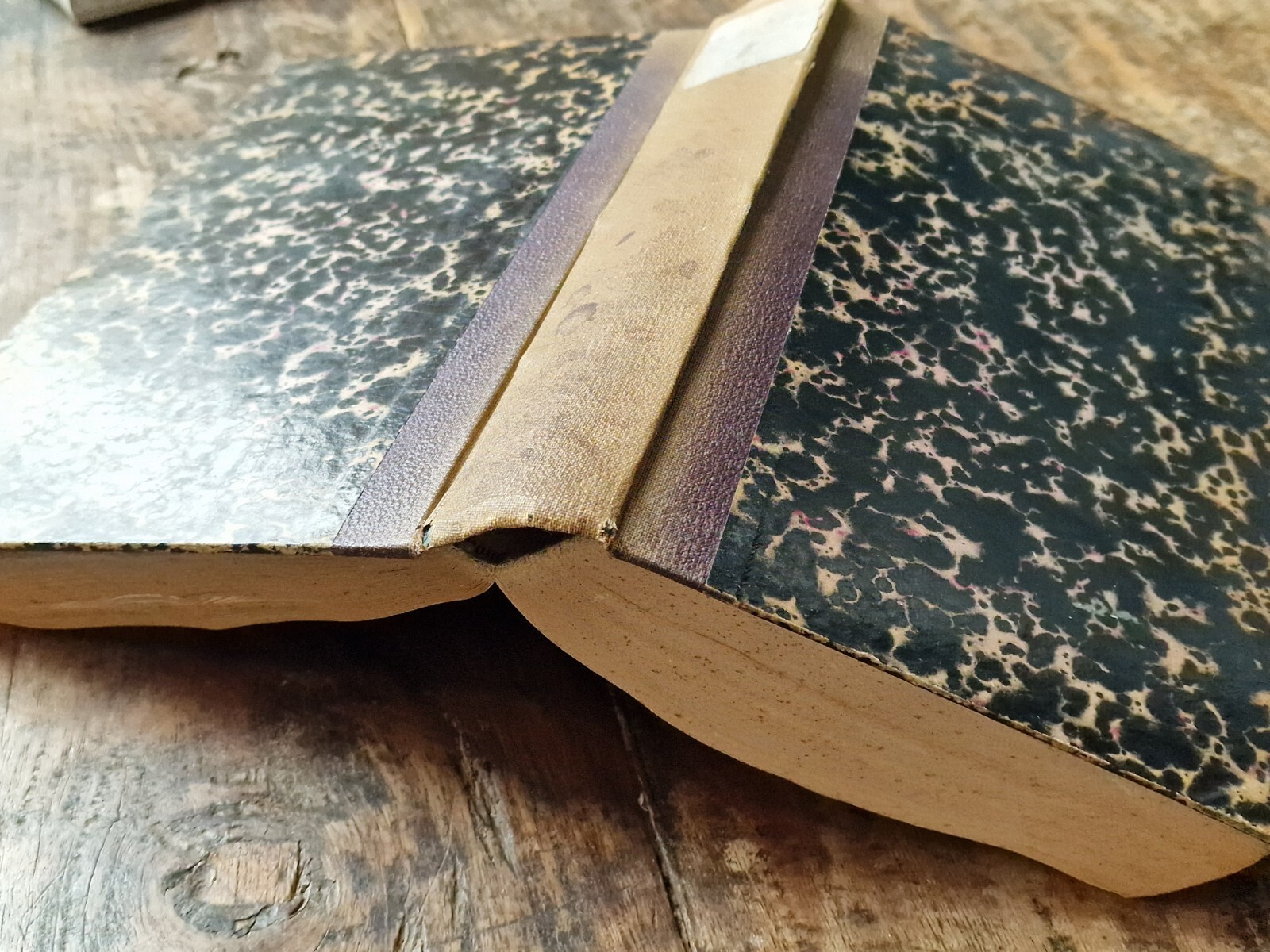 OBSERVATIONES ET INDICES TIBVLLVM 1842 Latein Tibull Albius Tibullus antik Buch