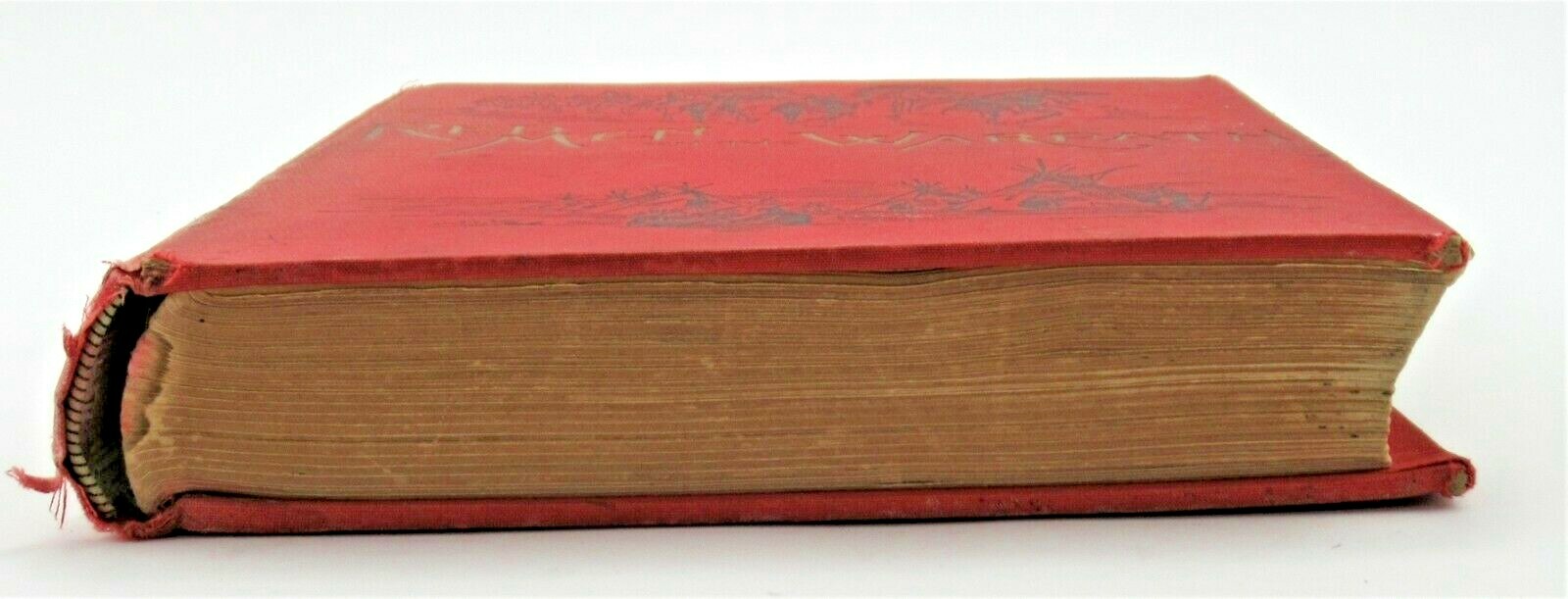 1895 Red Men on the War Path North American Indians Tragic History James P Boyd