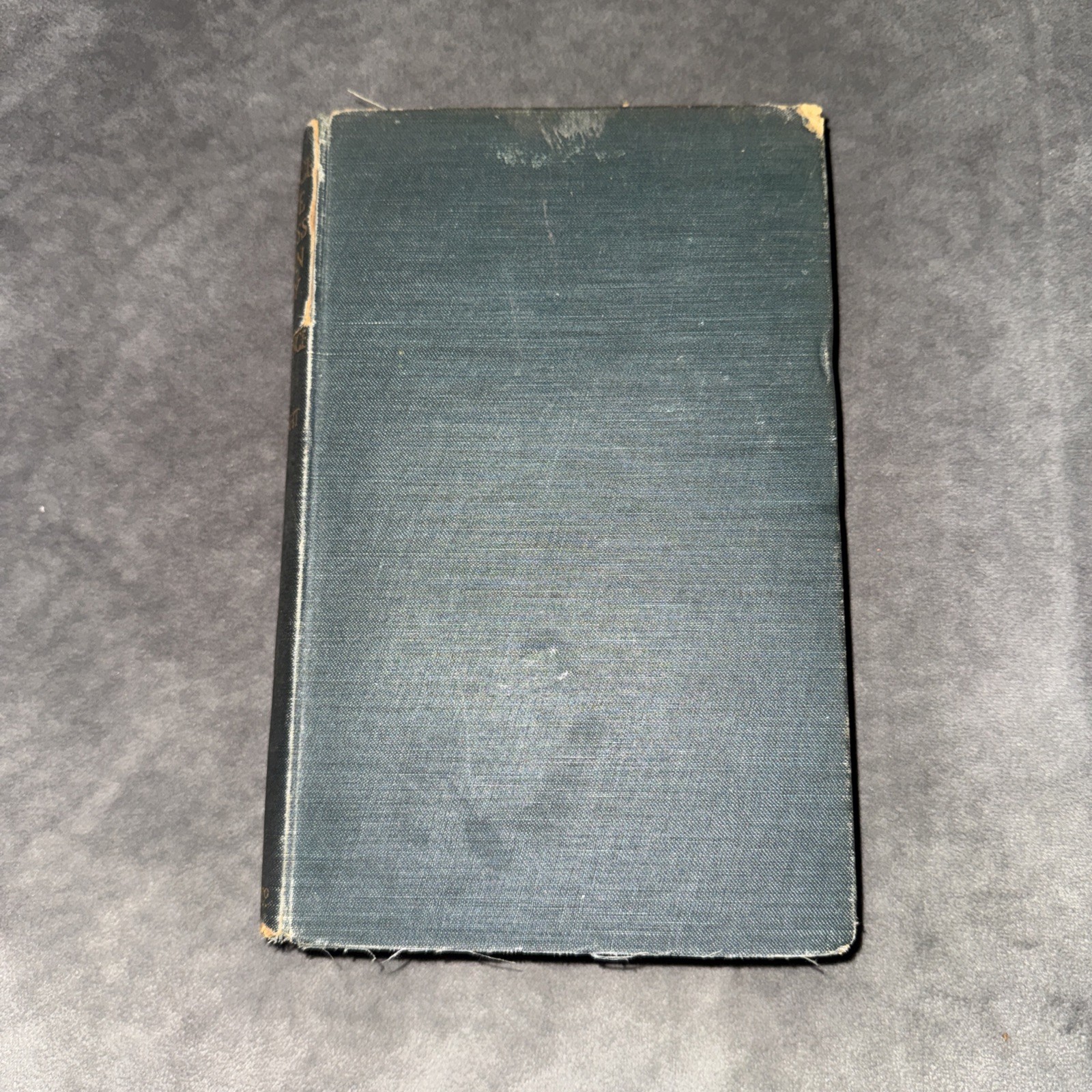 Beatrice D’Este Duchess of Milan by Julia Cartwright 1903 Renaissance