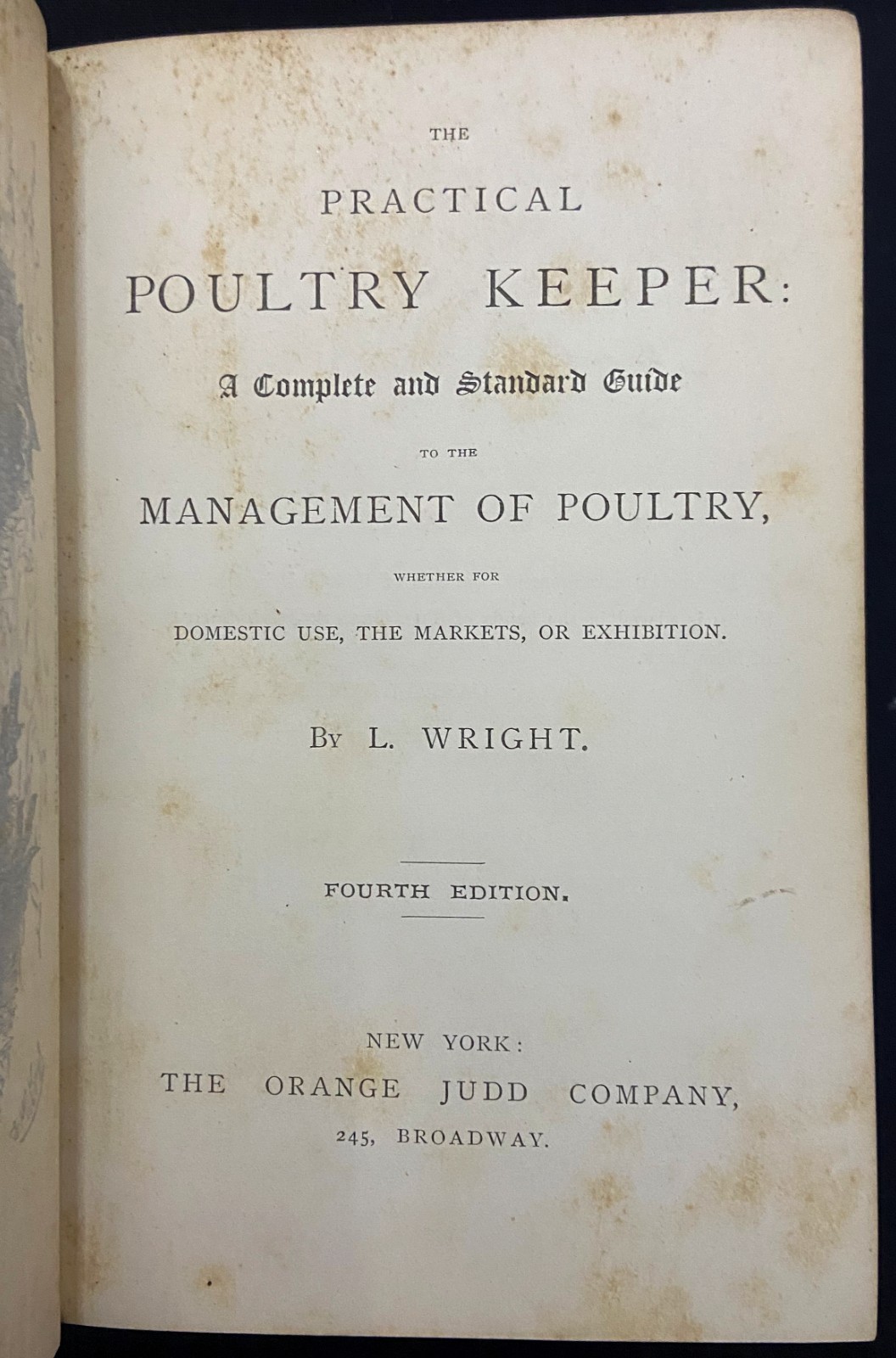 1880s THE PRACTICAL POULTRY KEEPER Farming & Natural History WRIGHT Antique Book