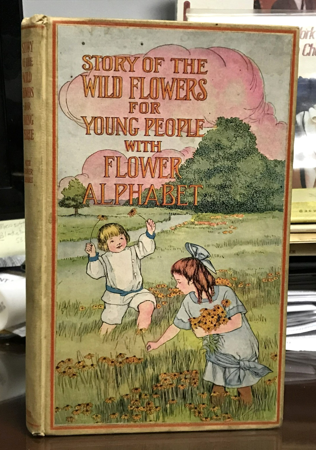 1914 Story Of The Wild Flowers For Young People With Flower Alphabet Color Illus
