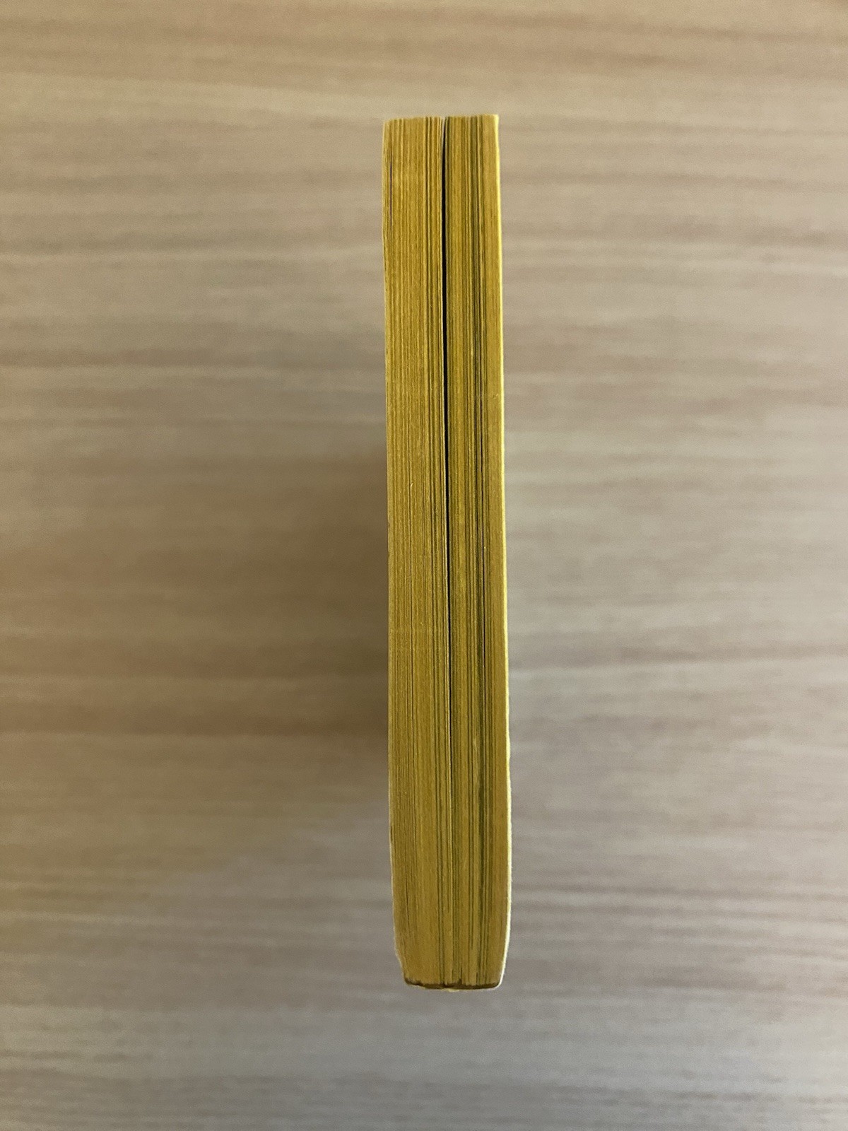 1973 Roberto Clemente Biography
