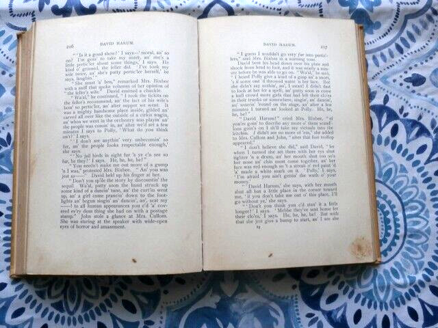 1900 ANTIQUE BOOK BY EDWARD NOYAS WESTCOTT PUBLISHED BY D. APPLETON AND COMPANY