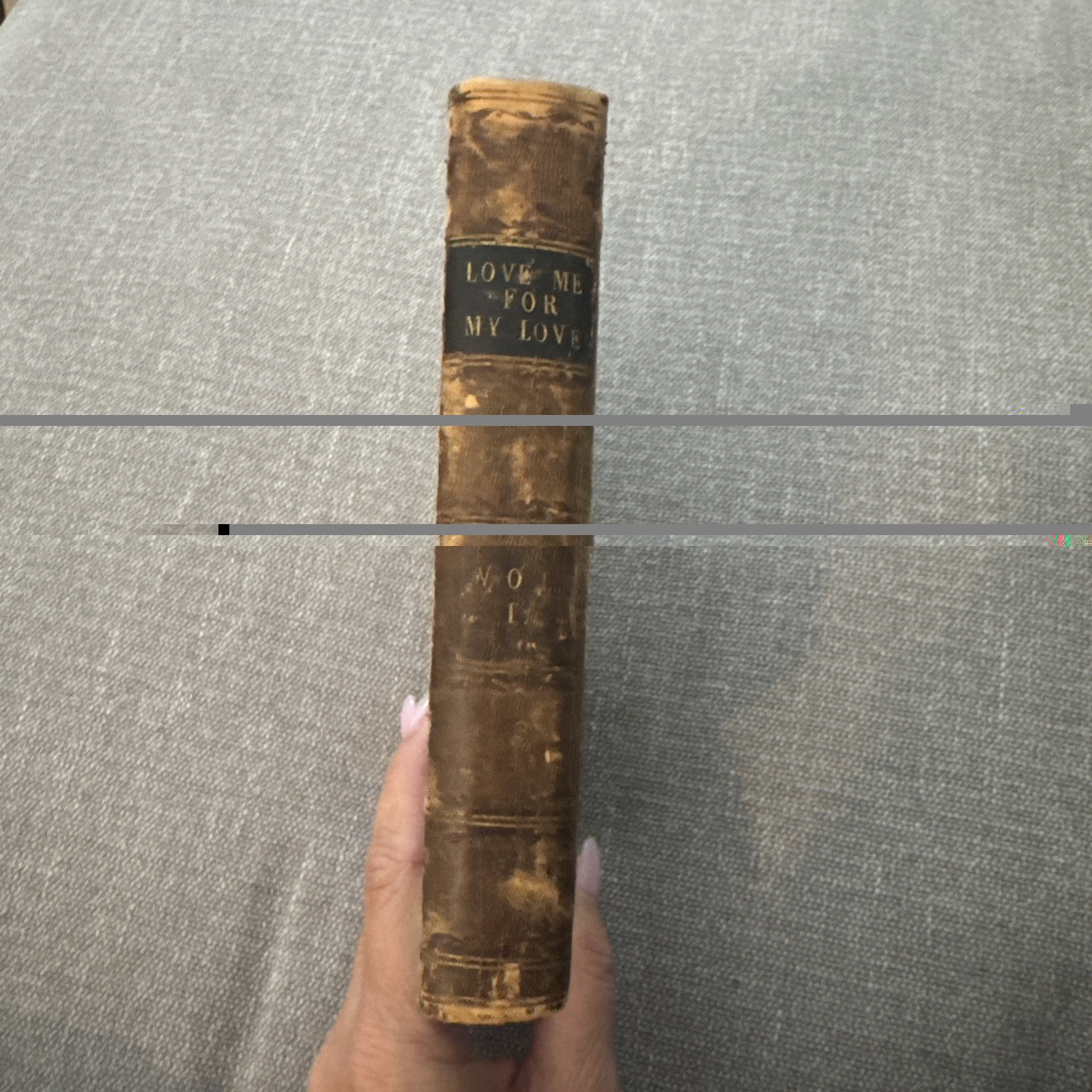 ORIGINAL Richard Bentley Love Me For My Love 1869. English version Very rare