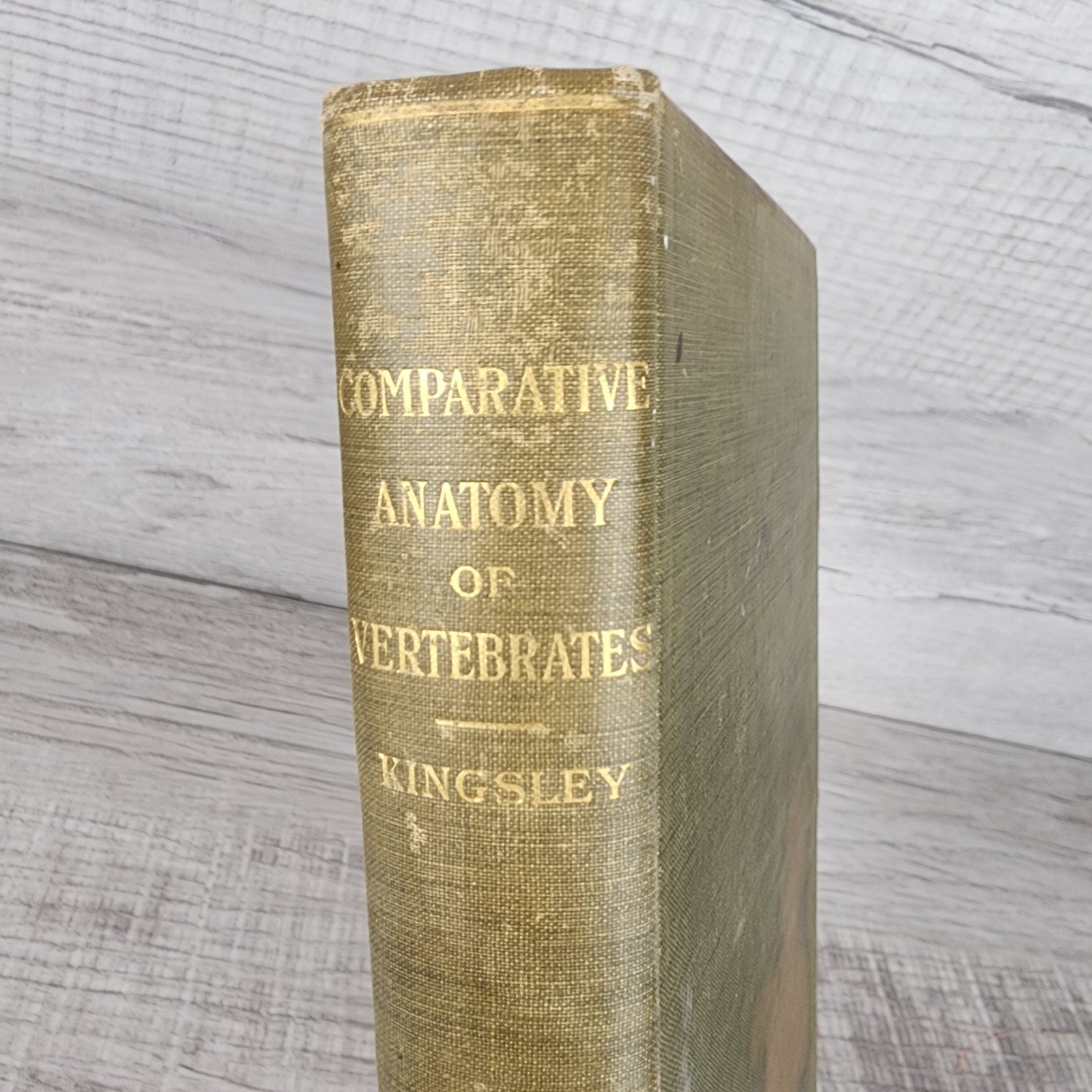 Antique Comparative Anatomy of Vertebrates Hardcover by J.S. Kingsley 1912