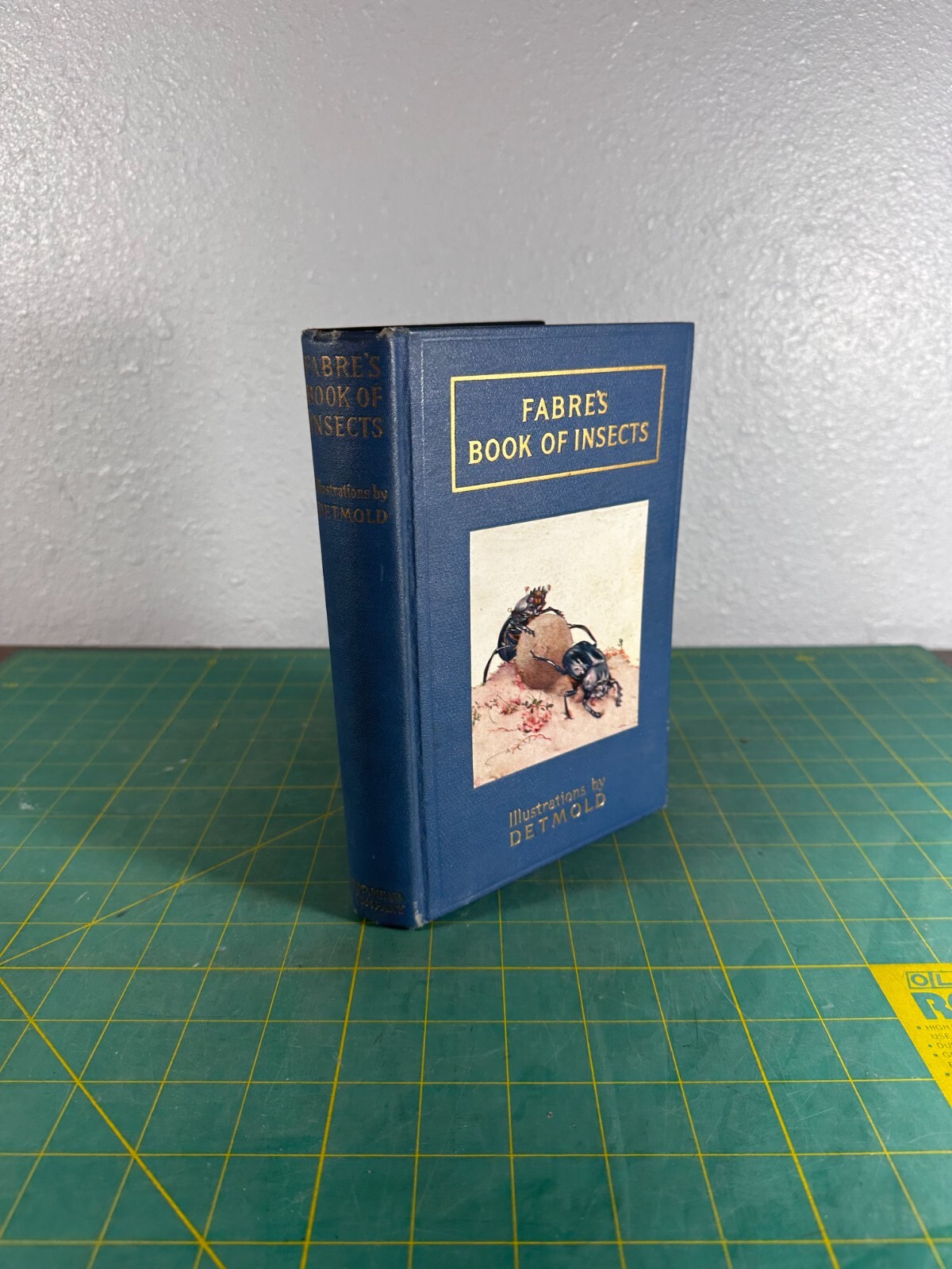 Vintage Fabre’s Book Of Insects MRS RODOLPH STAWELL DETMOLD Entomology 1927