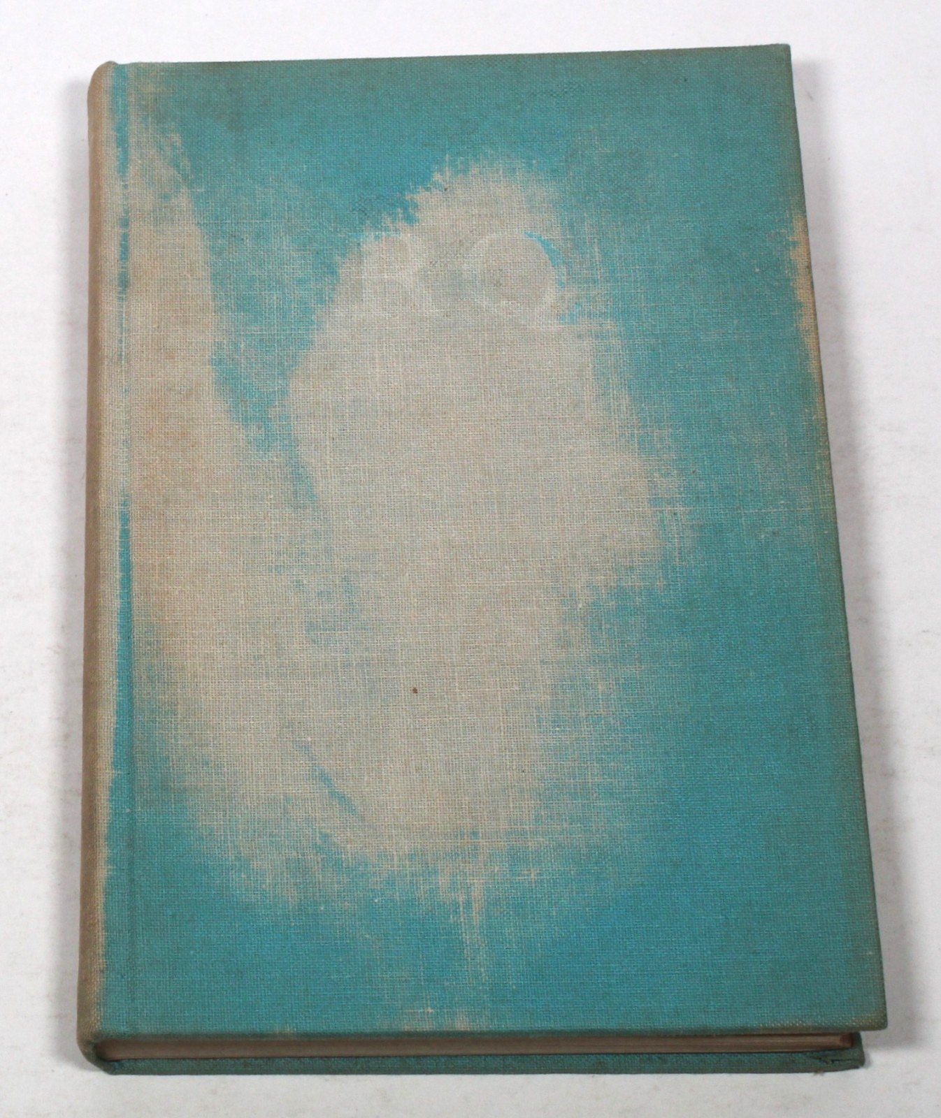 The Blue Flowers by Raymond Queneau 1967 First American Edition Eng. Translaion