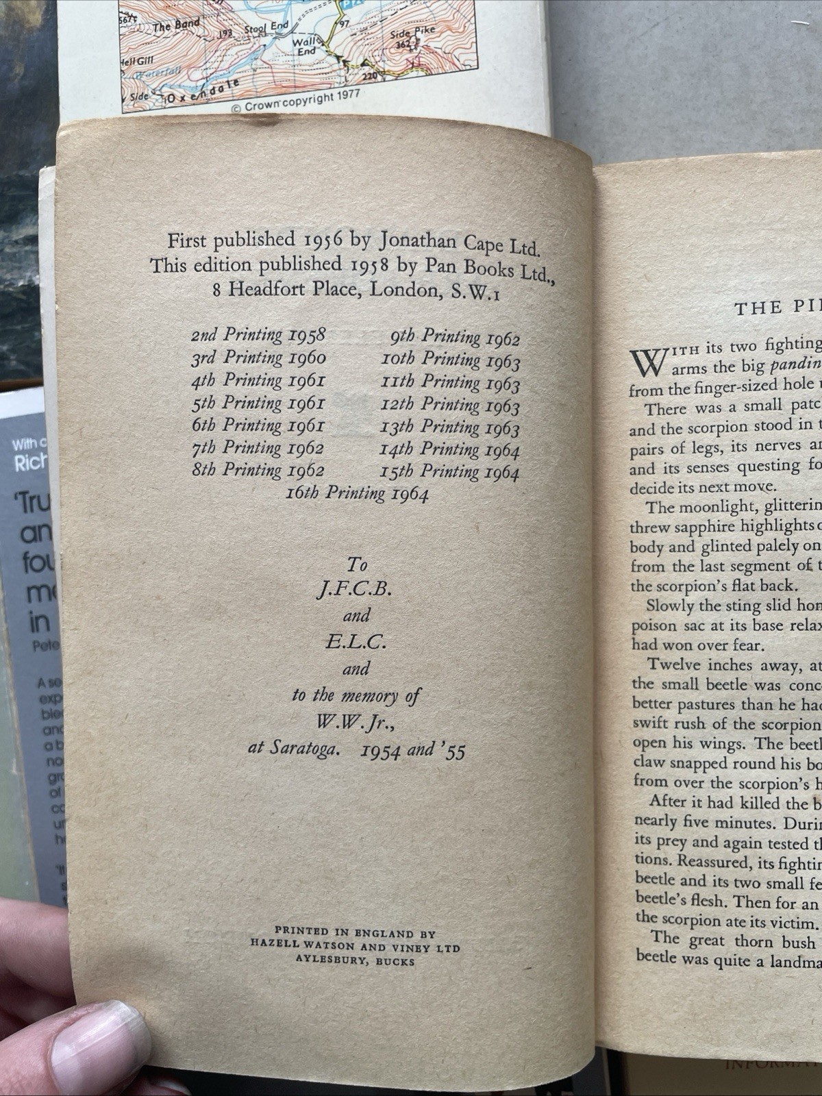 Job Lot 39x Vintage Penguin/Pelican Mixed Paperback Books Wordsworth Classic