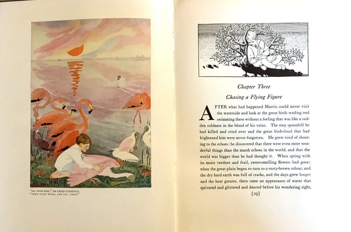 VG 1924 HC 2nd Edition Little Boy Lost W H Hudson Dorothy Lathrop