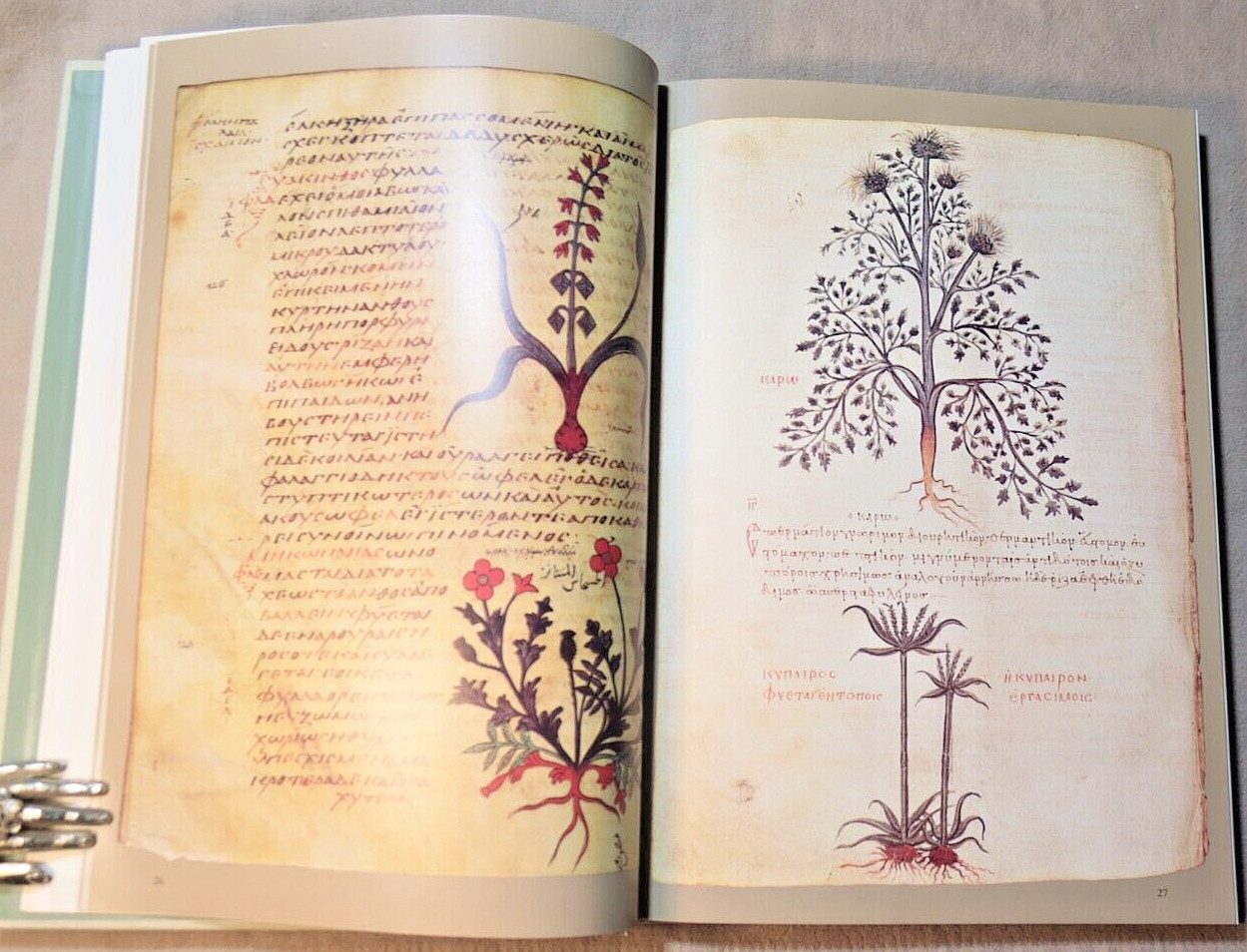ILLUSTRATED HERBAL by Blunt 1979 First Ed HC/DJ HERBALISM Superstition Medicinal