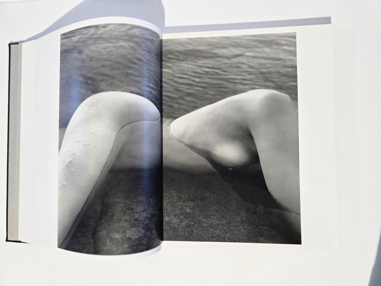 Patrick Demarchelier Photographs: A Henry Horenstein Book Rare 1997 1st Edition