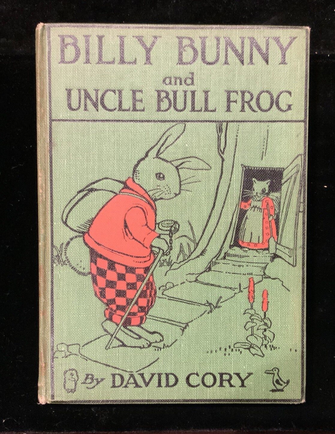 Billy Bunny and Uncle Bull Frog 1920 HB David Cory