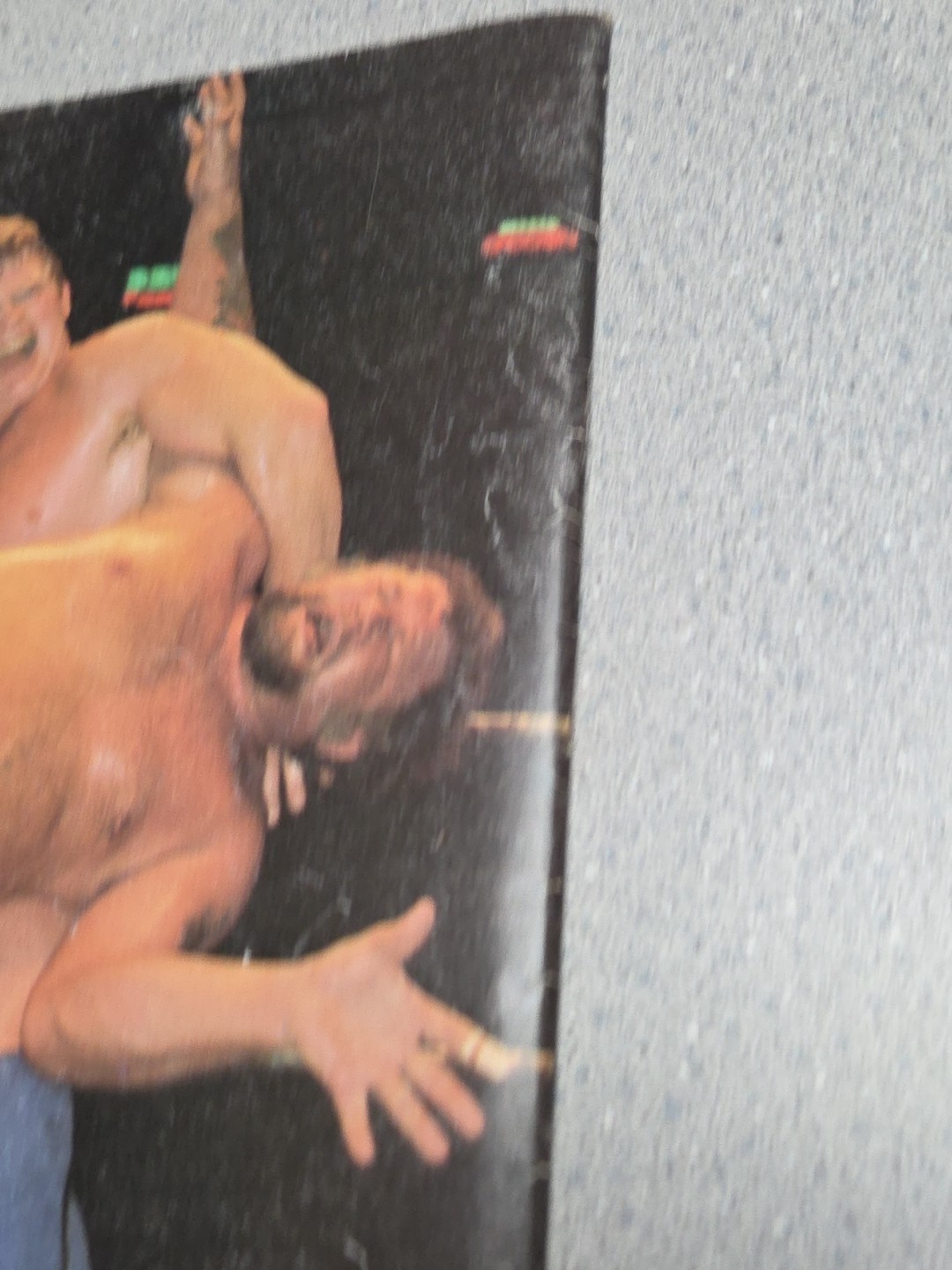 Wrestling World Magazine 1981 Special – Hulk Hogan Flair Rhodes Von Erich Patera