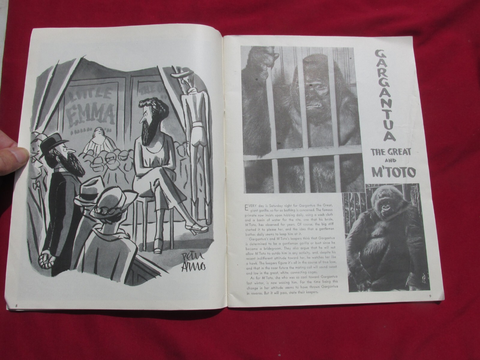 Ringling Bros. Barnum & Bailey Circus Magazine 1942 Peter Arno Art Original
