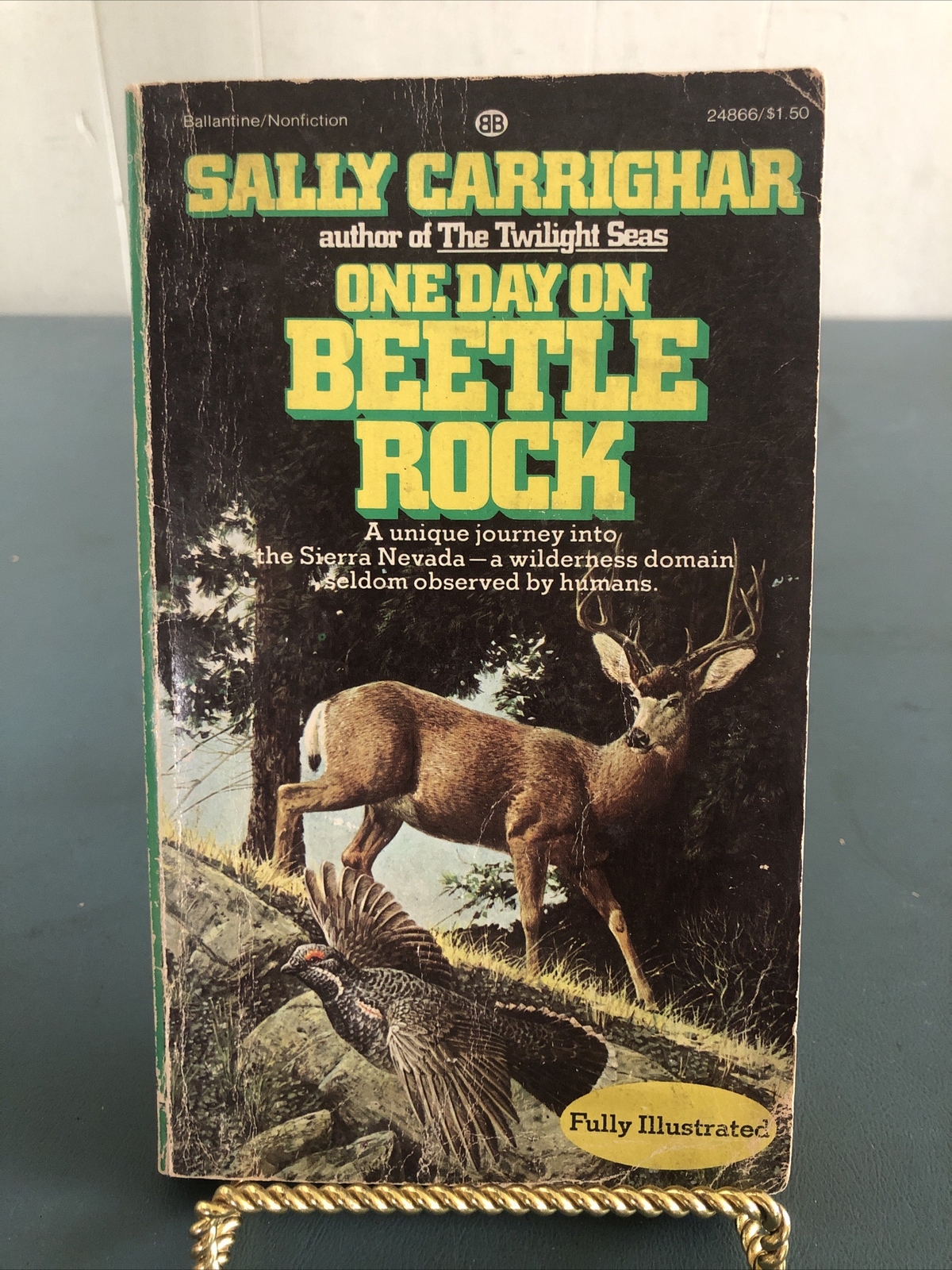 One Day on Beetle Rock by Sally Carrighar 1976 Vintage Paperback