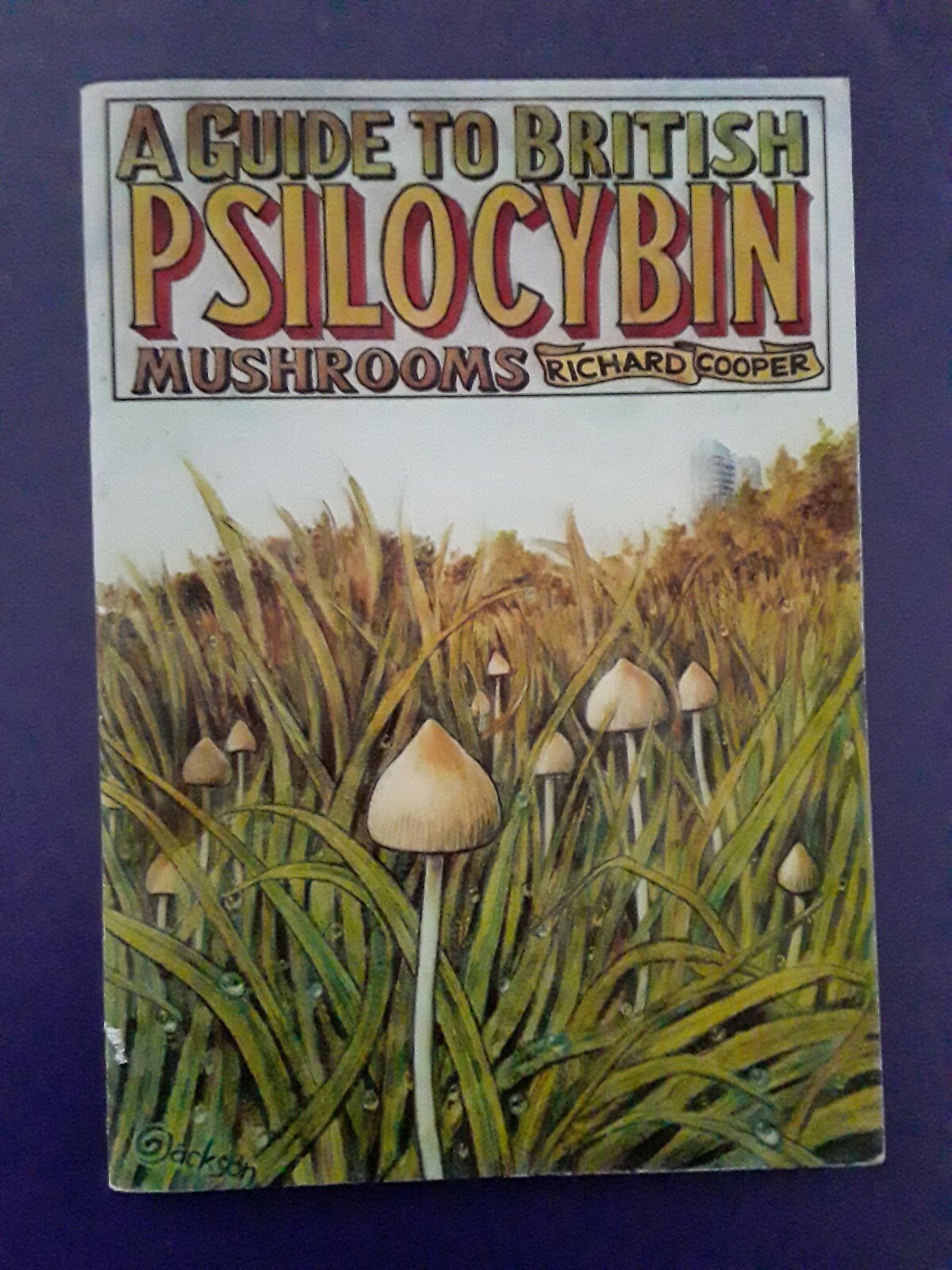 A Guide To British Psilocybi Mushrooms, Richard Cooper, 1994, Hassle Free Press