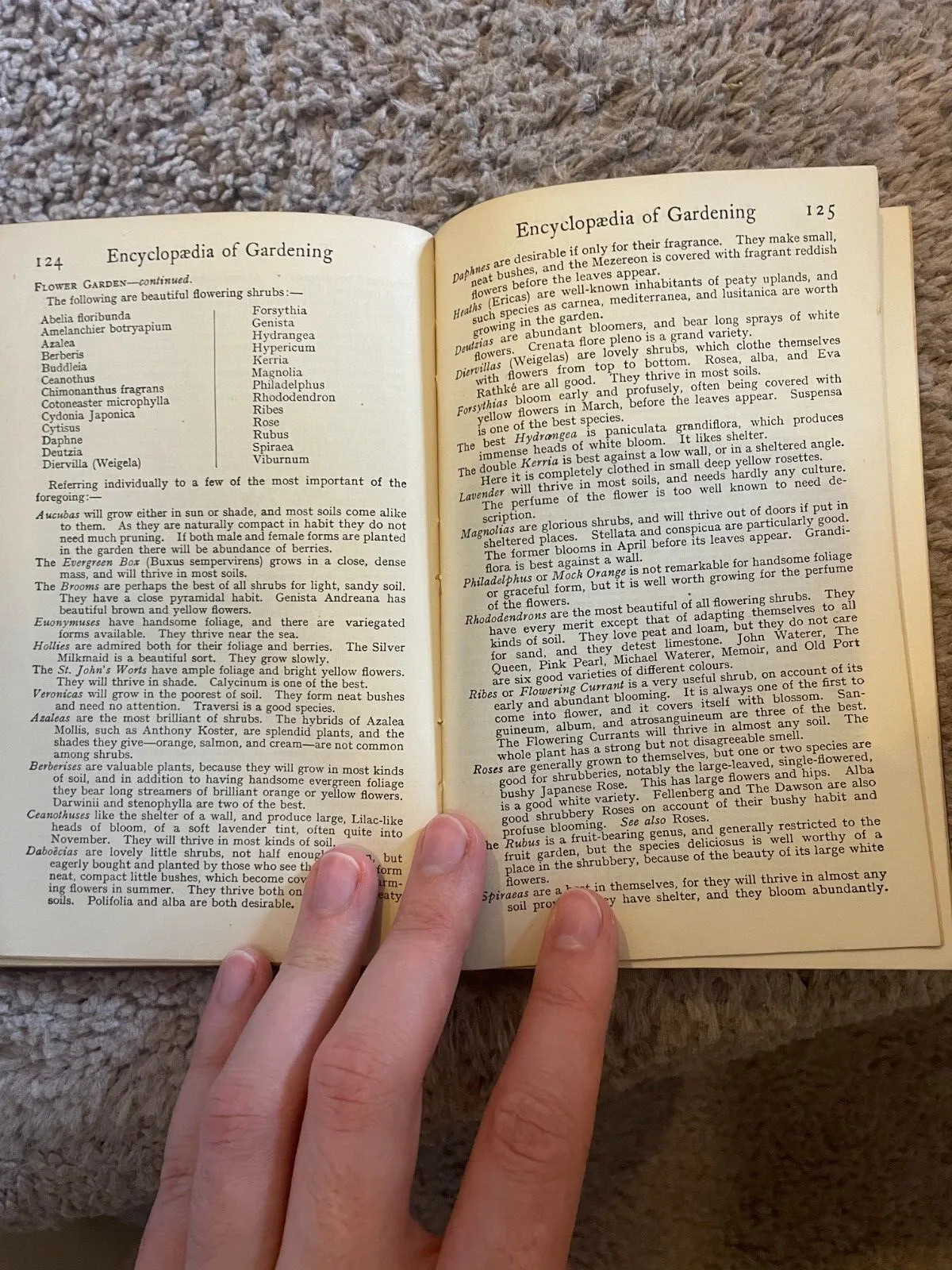 Vintage Book – Encyclopaedia of Gardening – W P Wright -J M Dent & Sons Ltd 1921