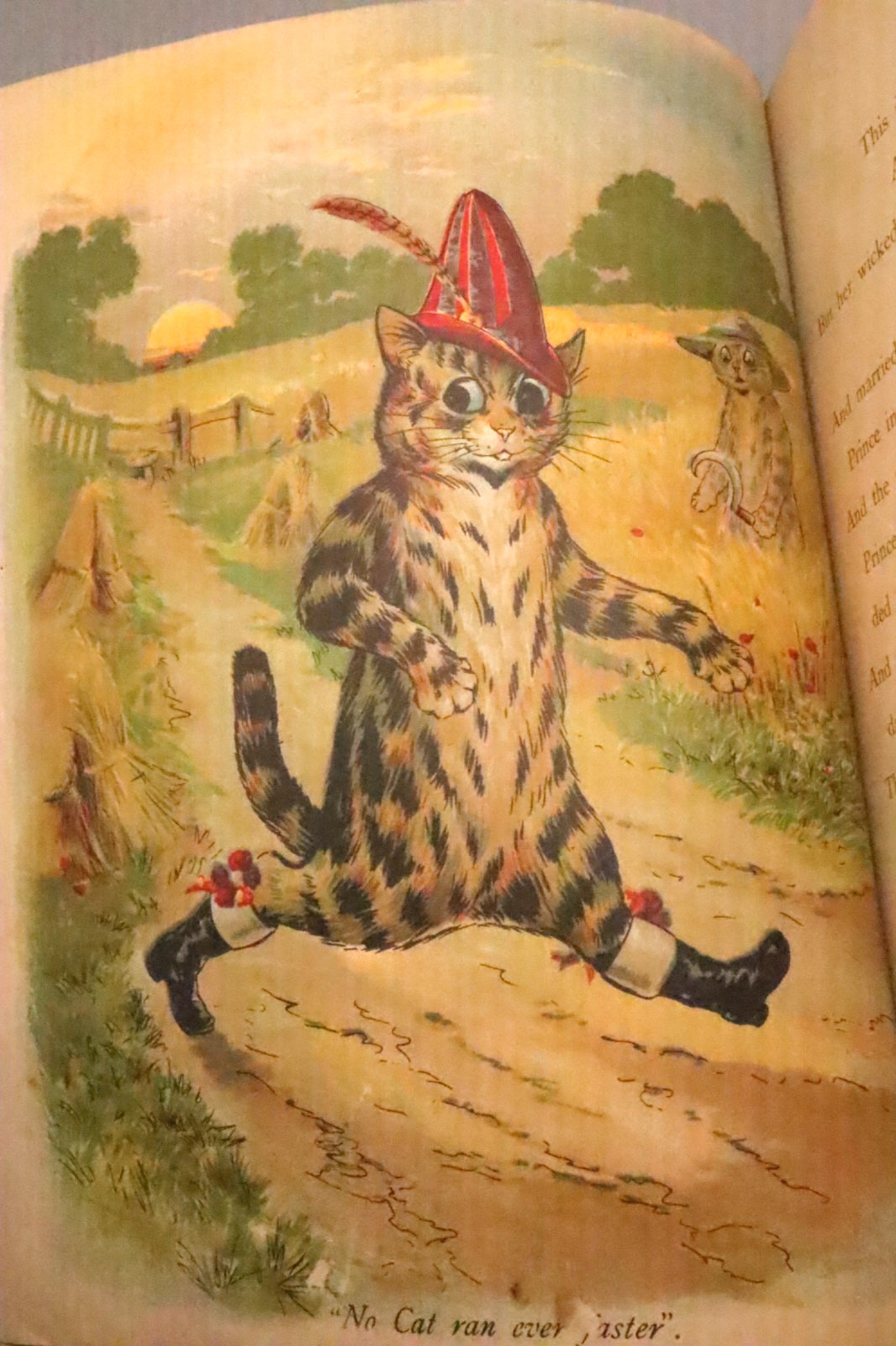 Louis Wain Cat Illustrations Fairy Tales Raphael Tuck Book c1900 Rare Children’s
