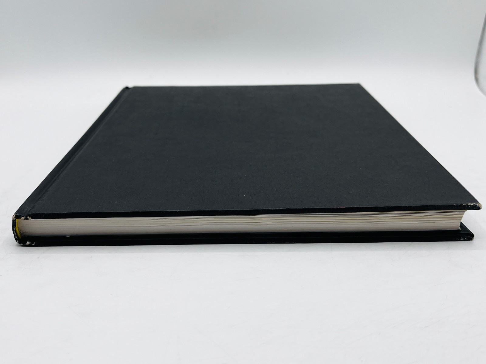Lesbian Art: An Encounter with Power – Elizabeth Ashburn 1996 1st Edition HB DJ