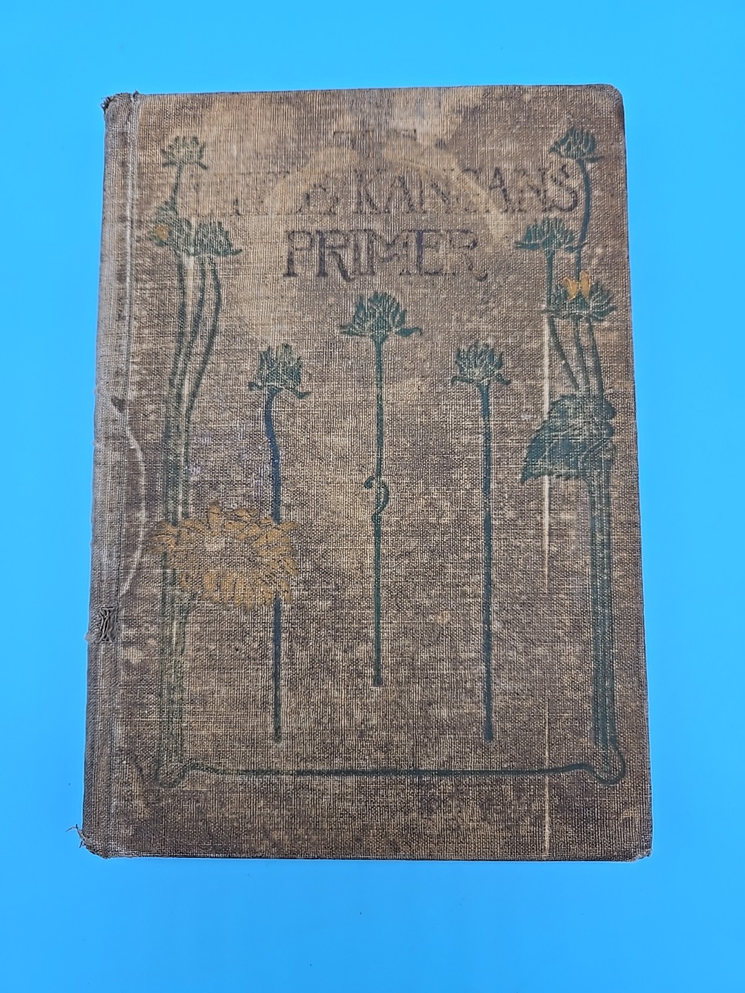 The Little Kansans Primer 1914 Antique Textbook Ruth Mary Hallock HB