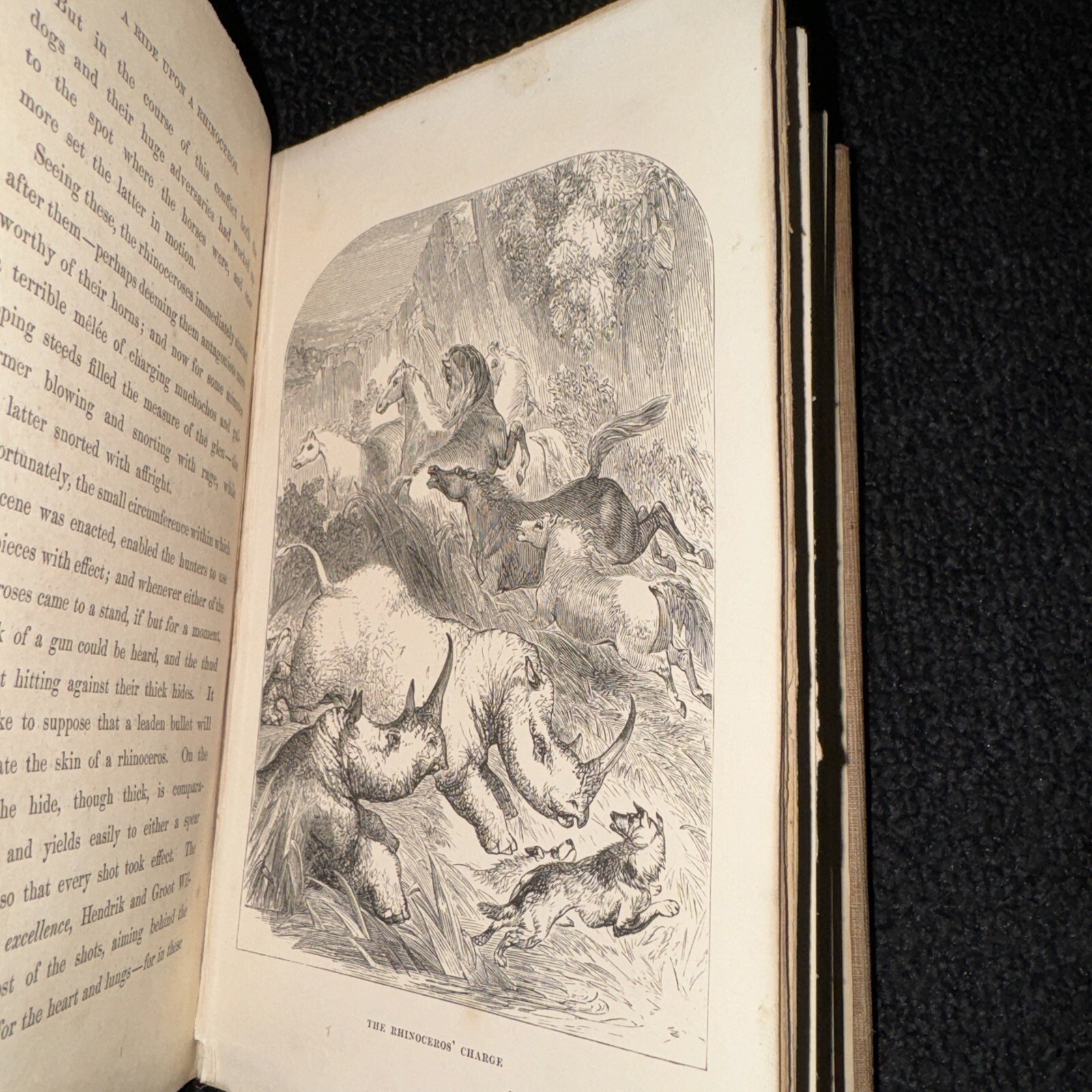 1857 The Young Yägers Narrative of Hunting Adventures in Southern Africa by Reid
