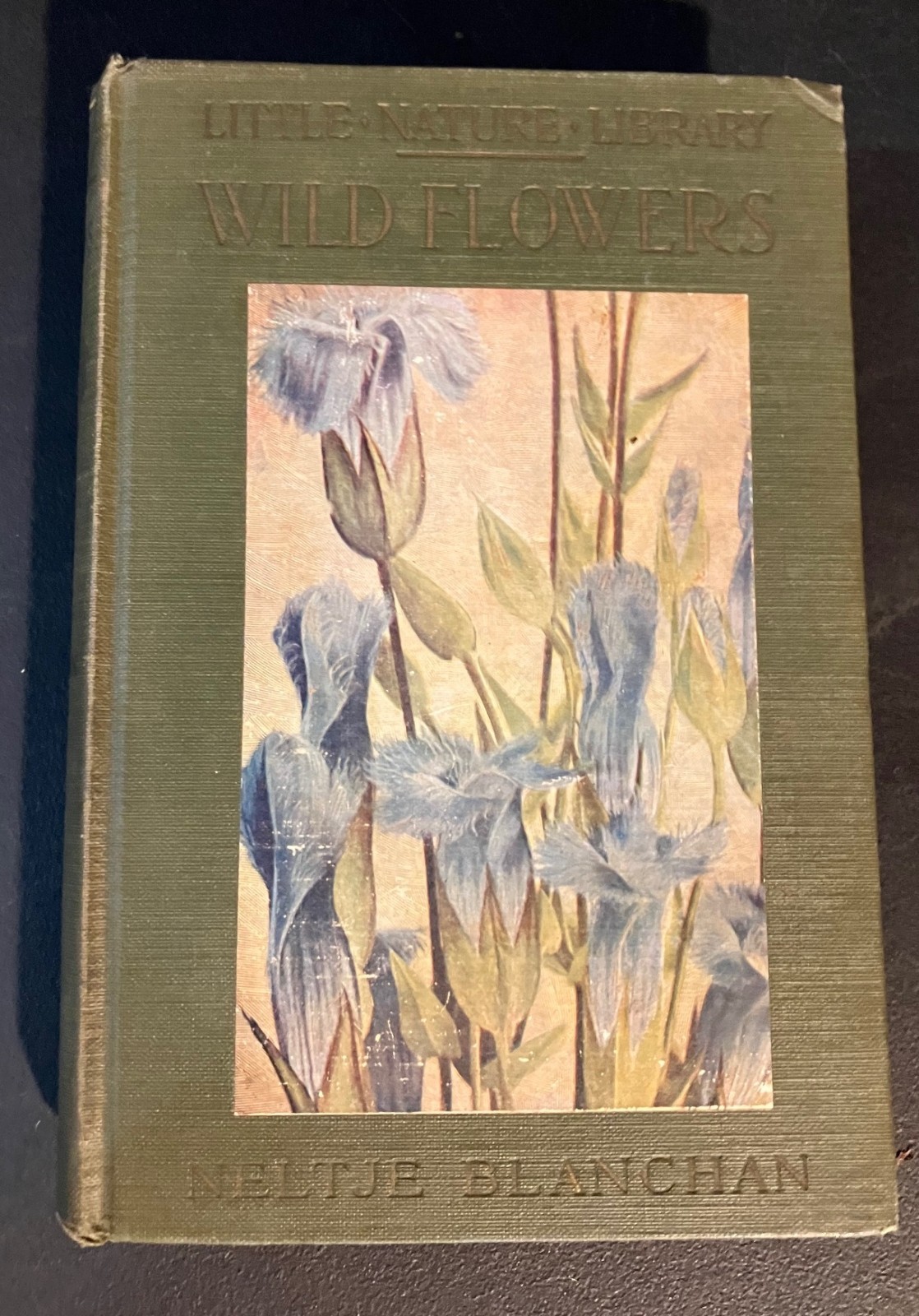 Hardcover 1926 Edition Of Wildflowers from Little Nature Library By Blanchan,