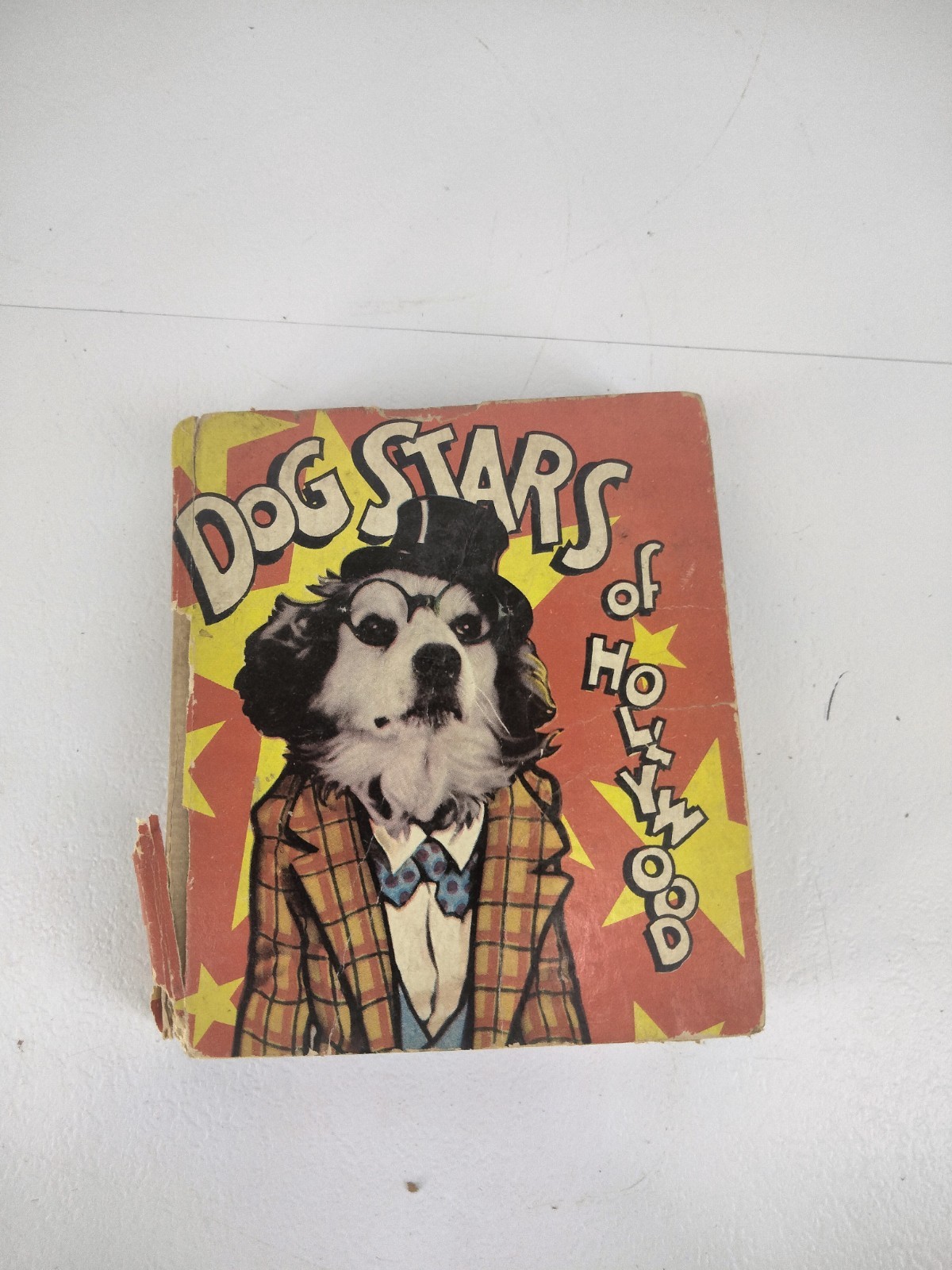 Dog Stars of Hollywood Gertrude Orr 1936 Rare Photo Vintage Poor Condition