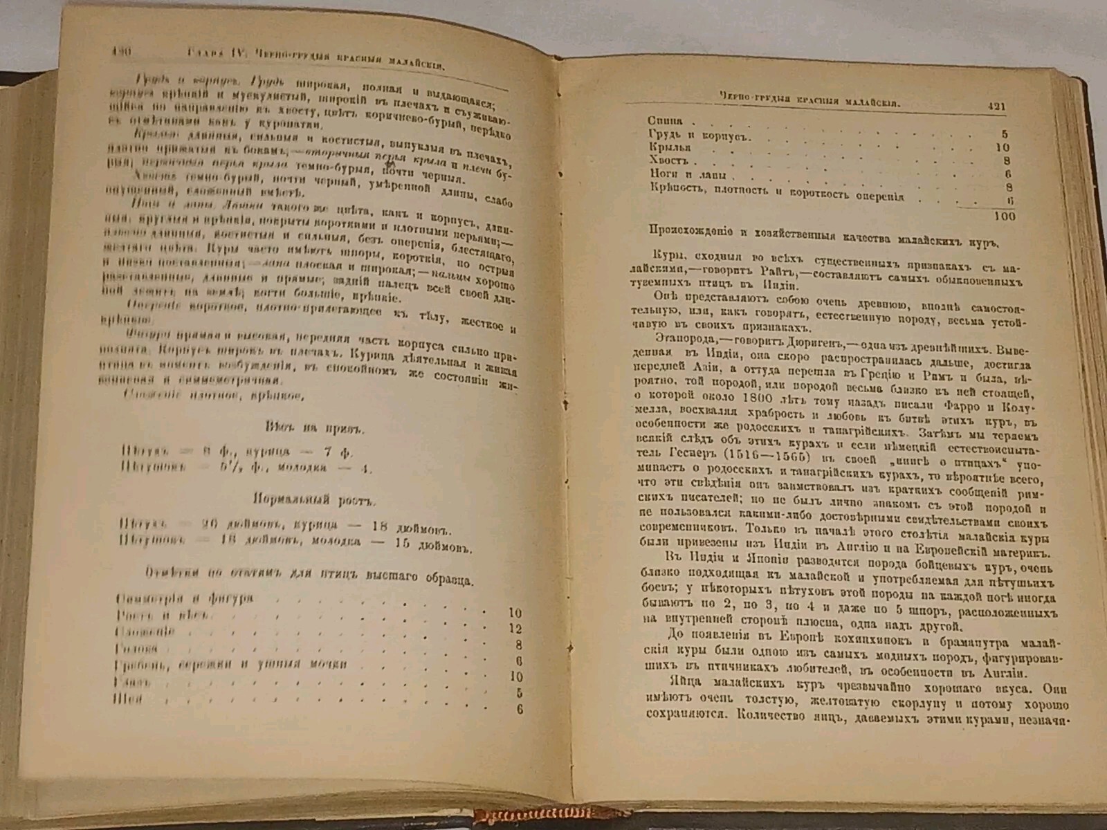 1895 ???????????? ?????? ???? ? ??????? ?????????? Antique book in Russian