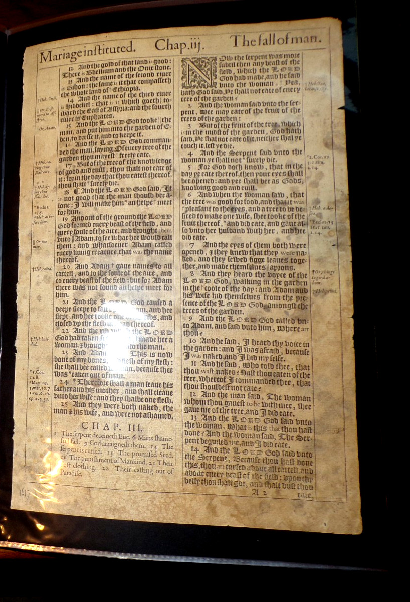 13 Different Bible Leaves-Starter Collection-From 1523 through 1640-Tyndale-Kjv