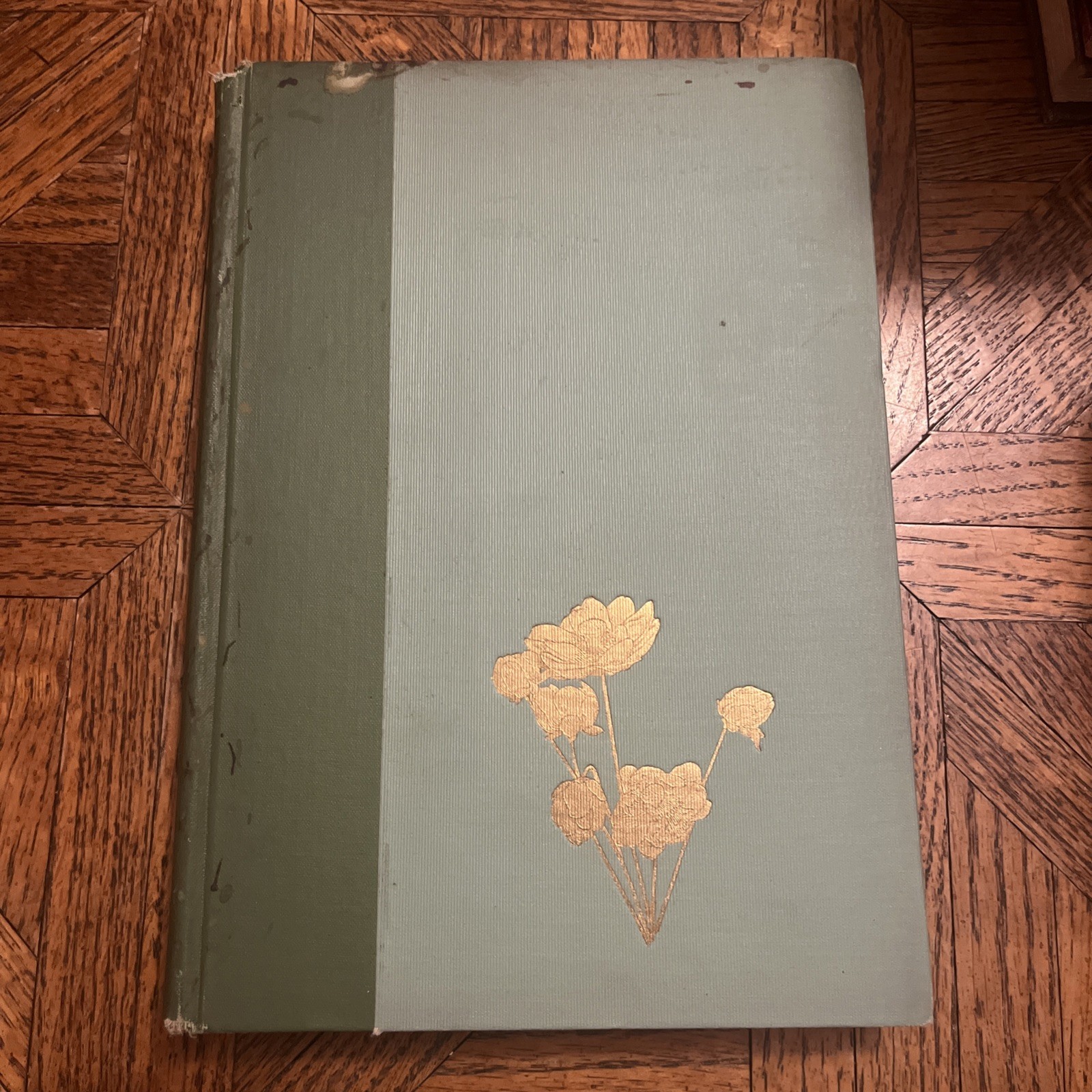 Alden R Benson / LOTUS LILIES very fair