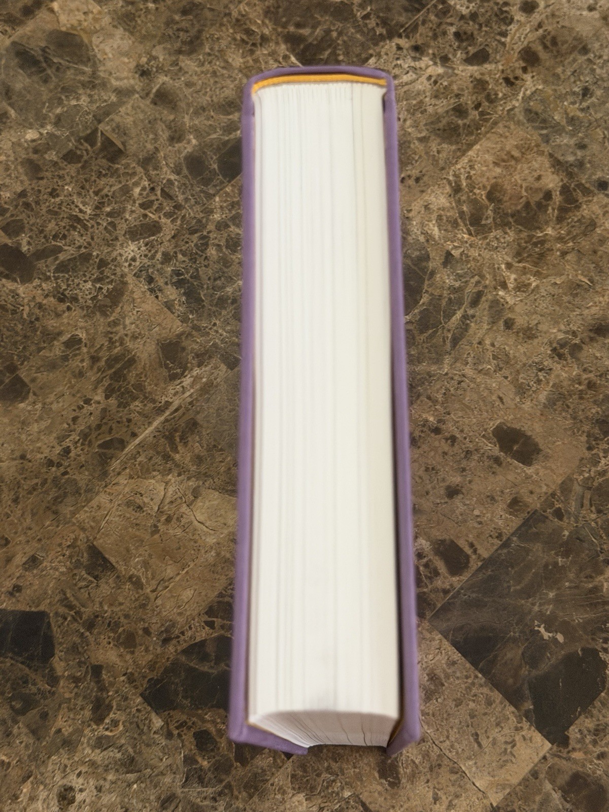 Robert McCammon Boy’s Life Subterranean Press Signed And Numbered Hardcover