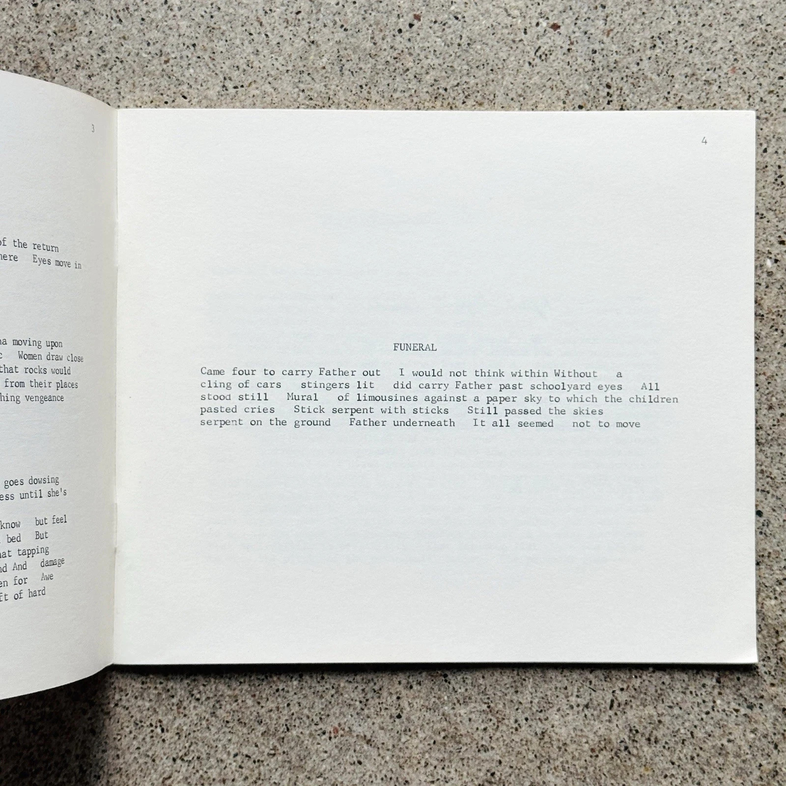 Lynn Lonidier The Female Freeway 1970 Tenth Muse Poetry scarce Underground Lit