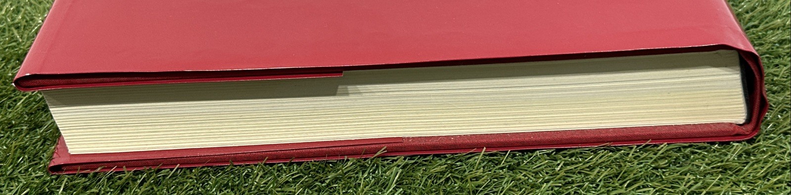 Carl Jung Red Book: LARGE Liber Novus First Edition Hardcover with Dust Jacket