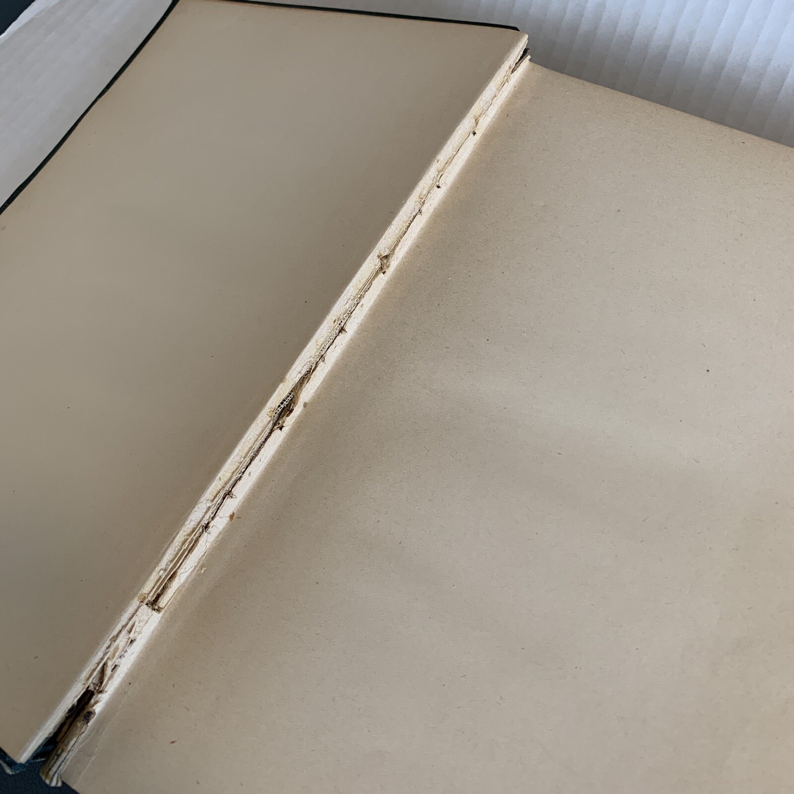 The Woman’s Book Advice Instruction Volumes 1 and 2 Scribners 1894 Americana