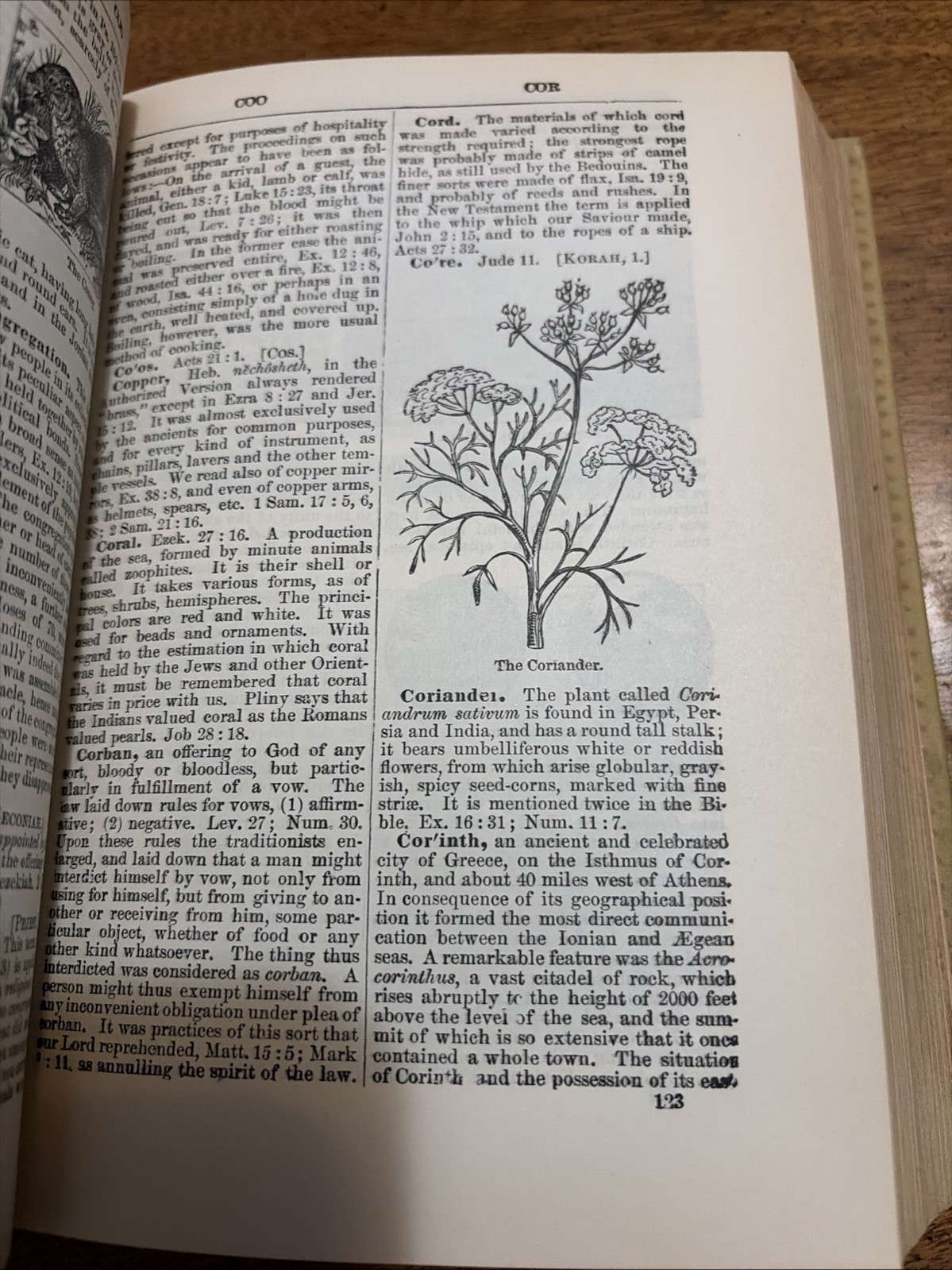 1884 Copyright Bible Dictionary William Smith Peloubet HC 440 Illus 8 Color Maps