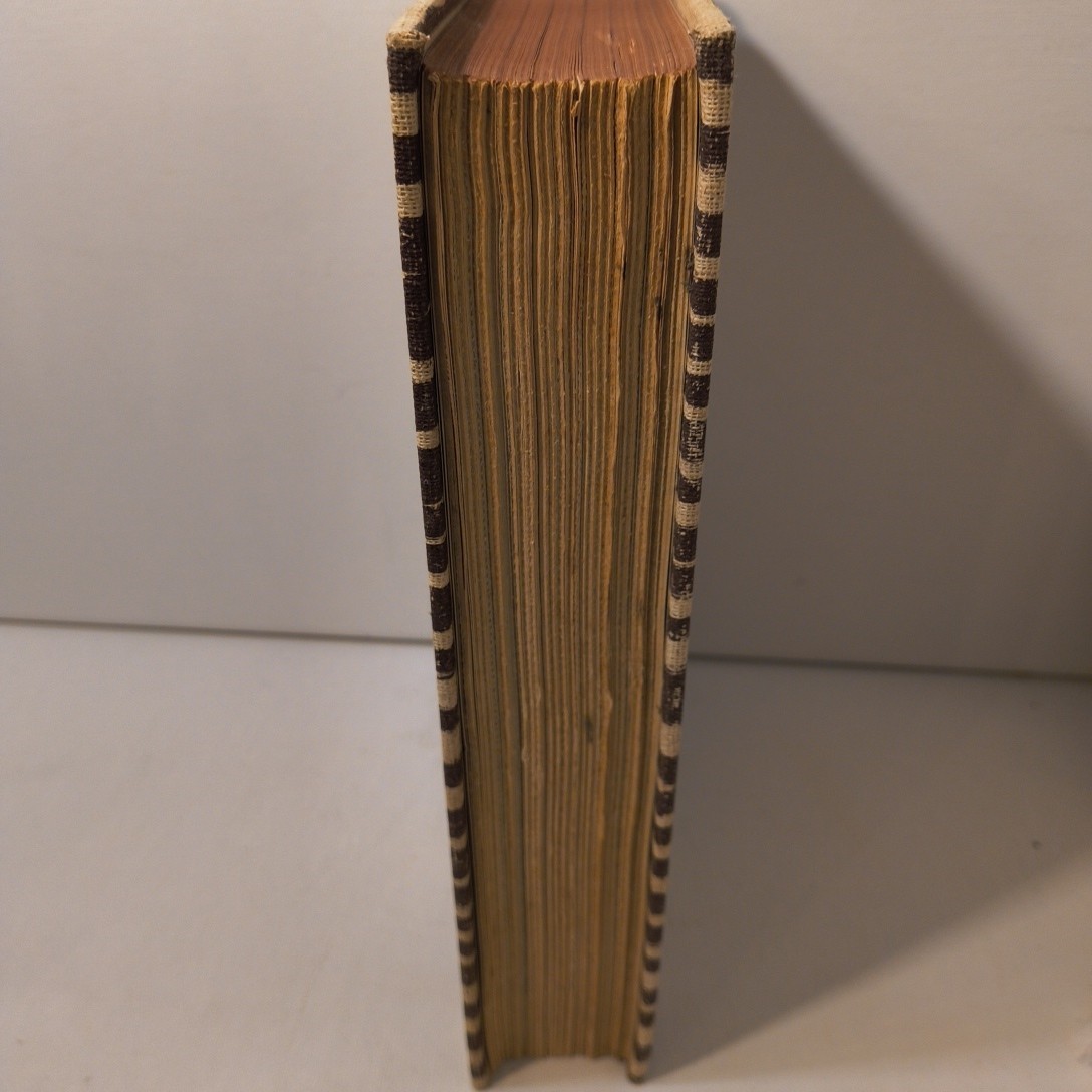 I Married Adventure Hardcover By Osa Johnson Illustrated 1940 Zebra Cover Print