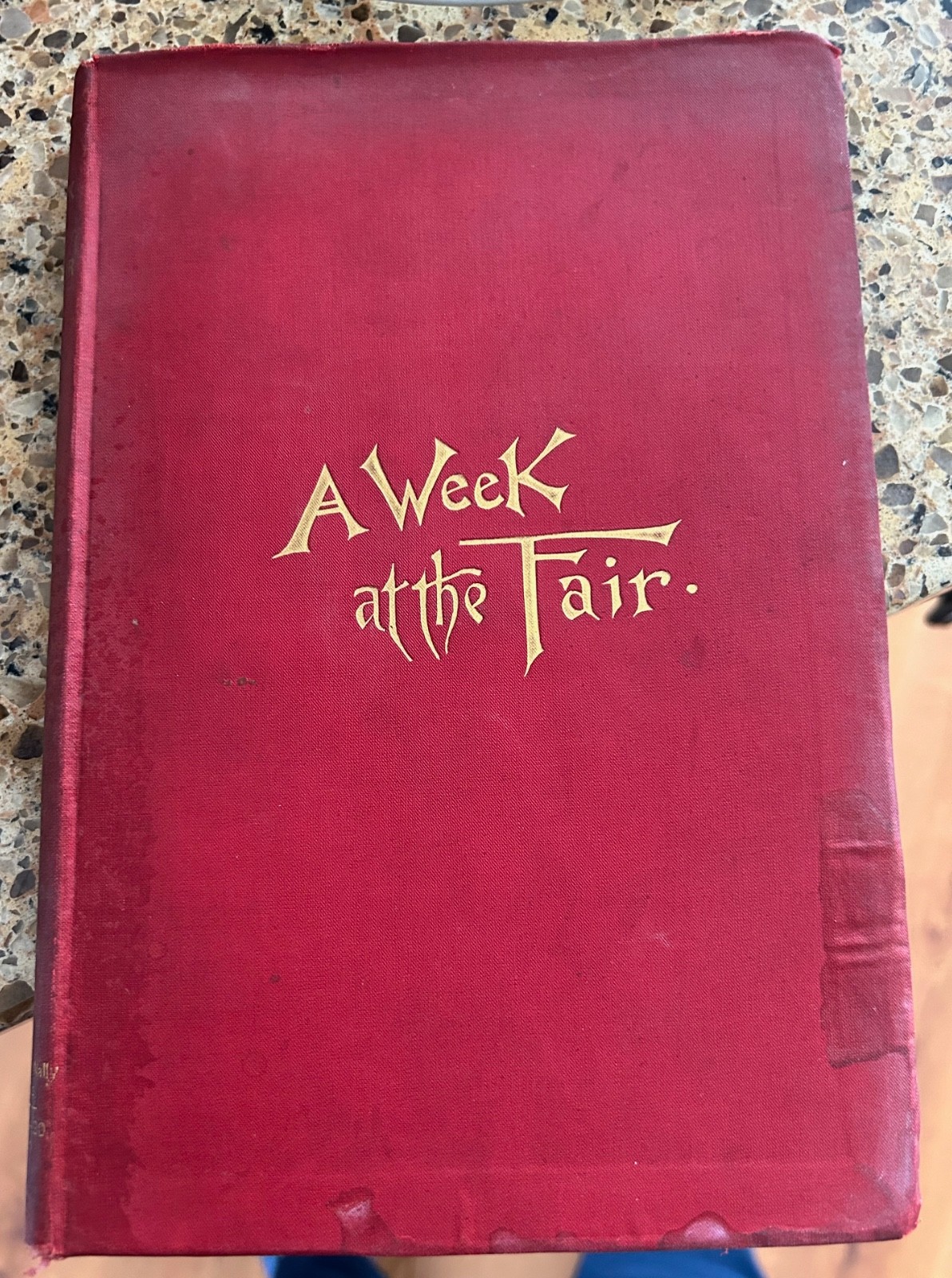A Week At the Fair Columbian Exhibition 1893 1st World’s Book with fold out map